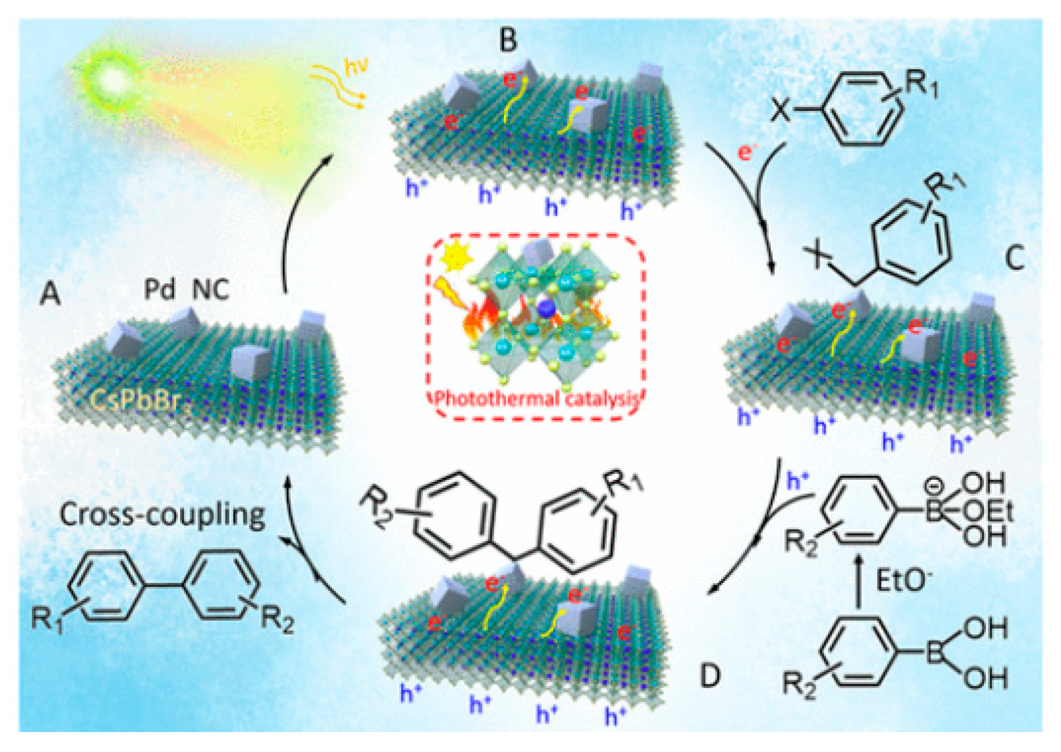 Nanomaterials 14 00094 g013