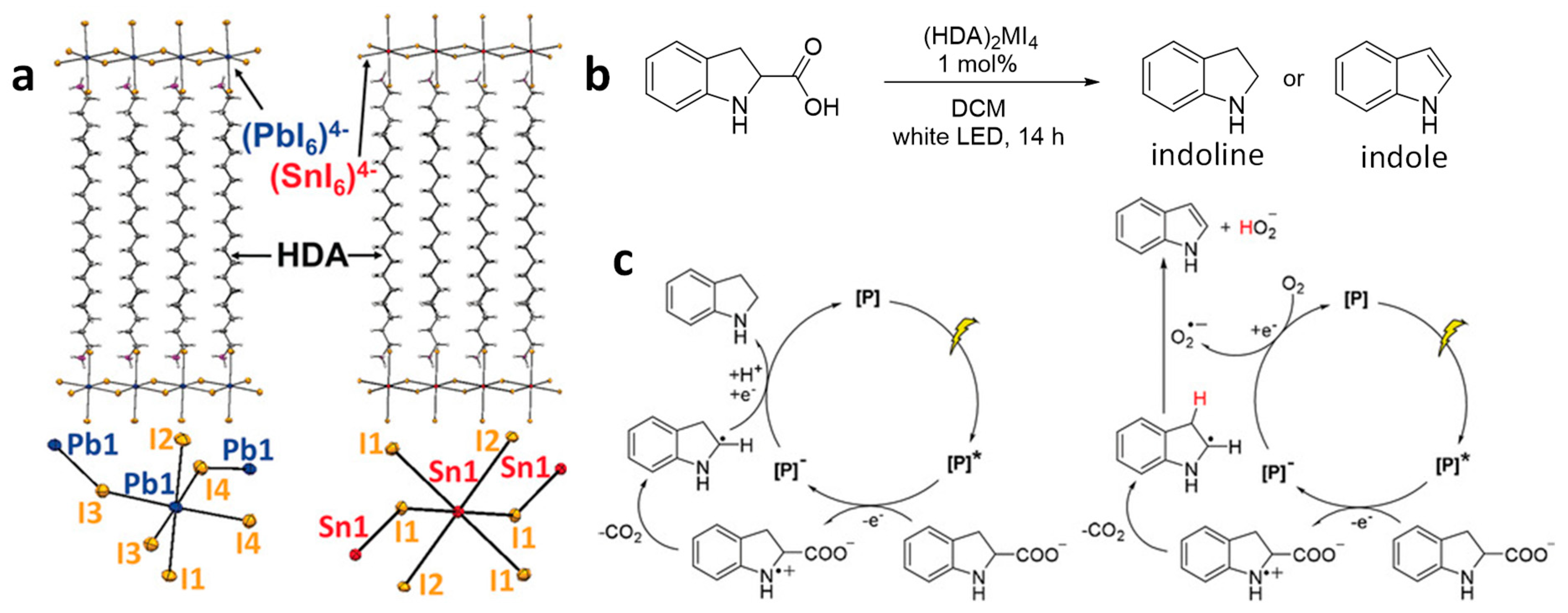 Nanomaterials 14 00094 g014