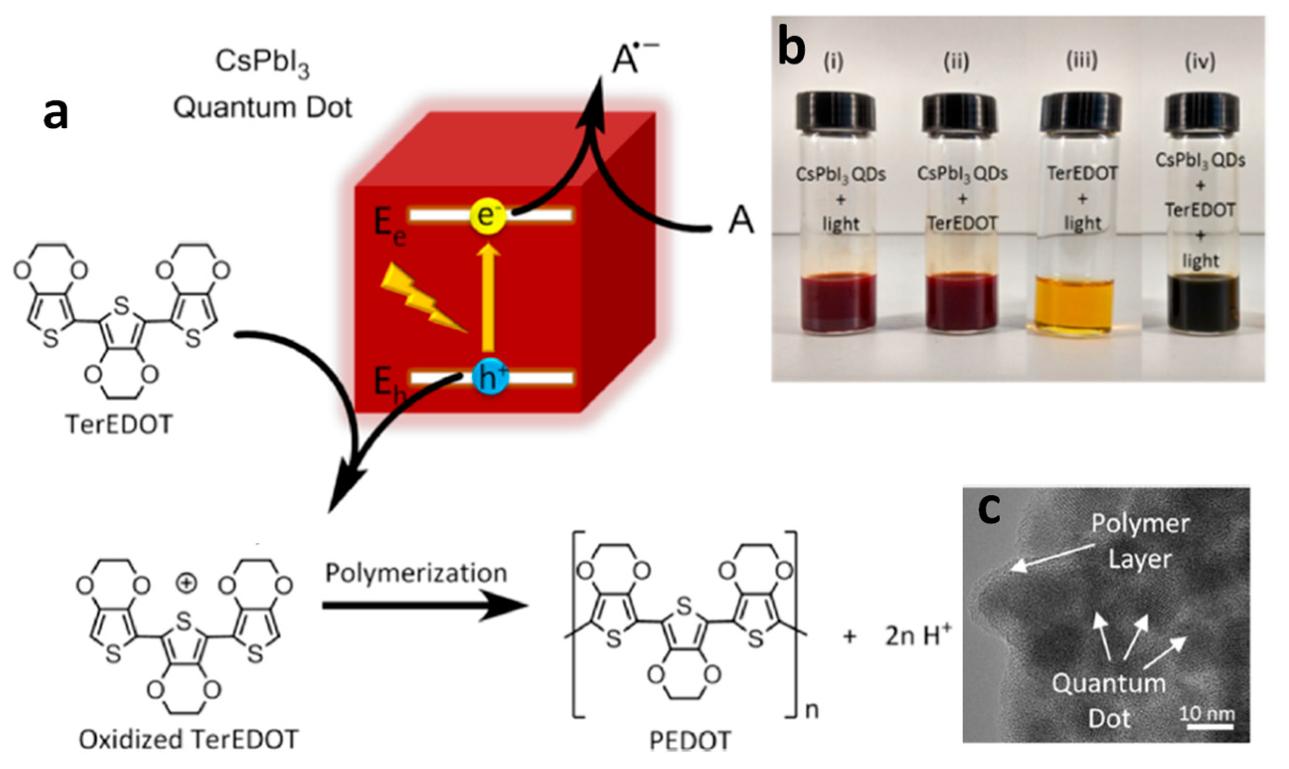 Nanomaterials 14 00094 g016