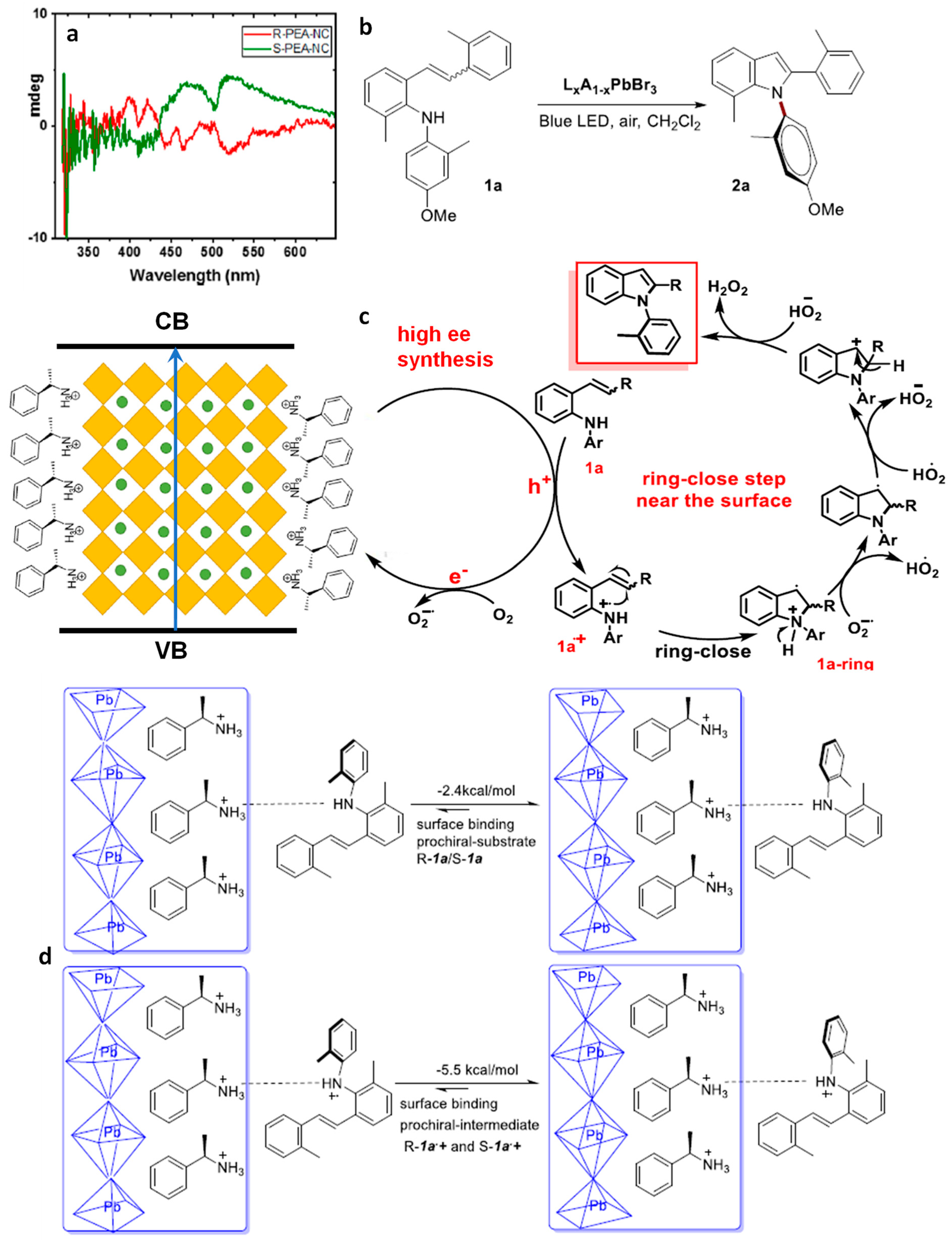 Nanomaterials 14 00094 g019
