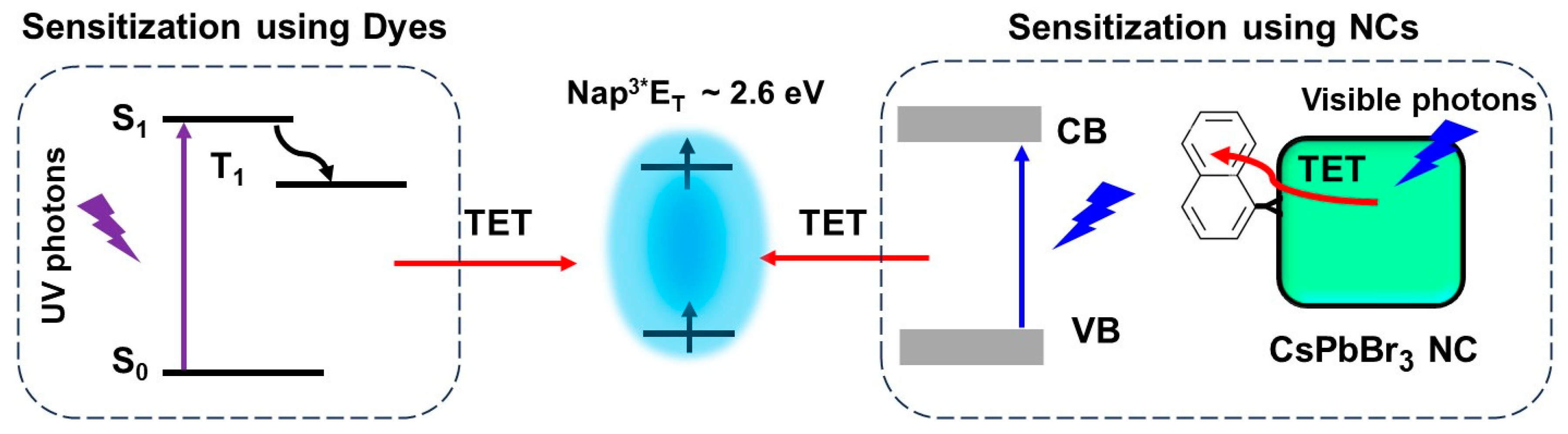Nanomaterials 14 00094 g020