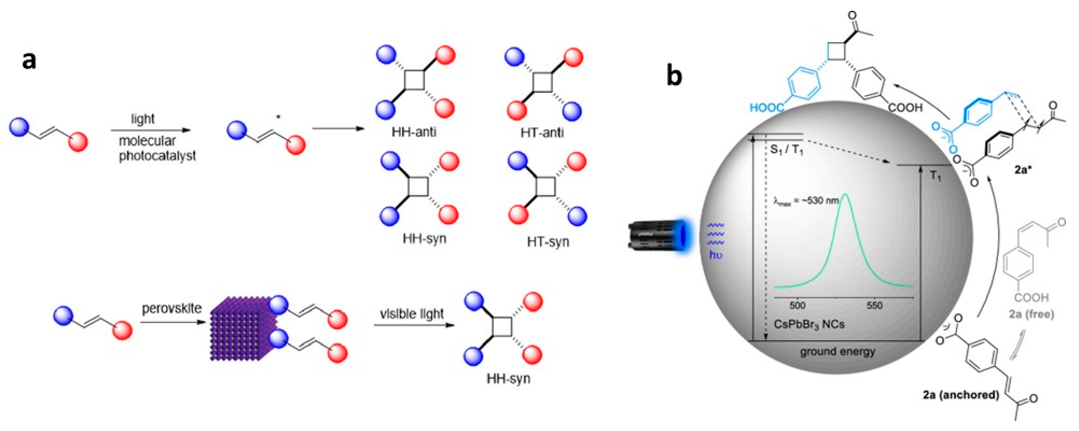 Nanomaterials 14 00094 g023