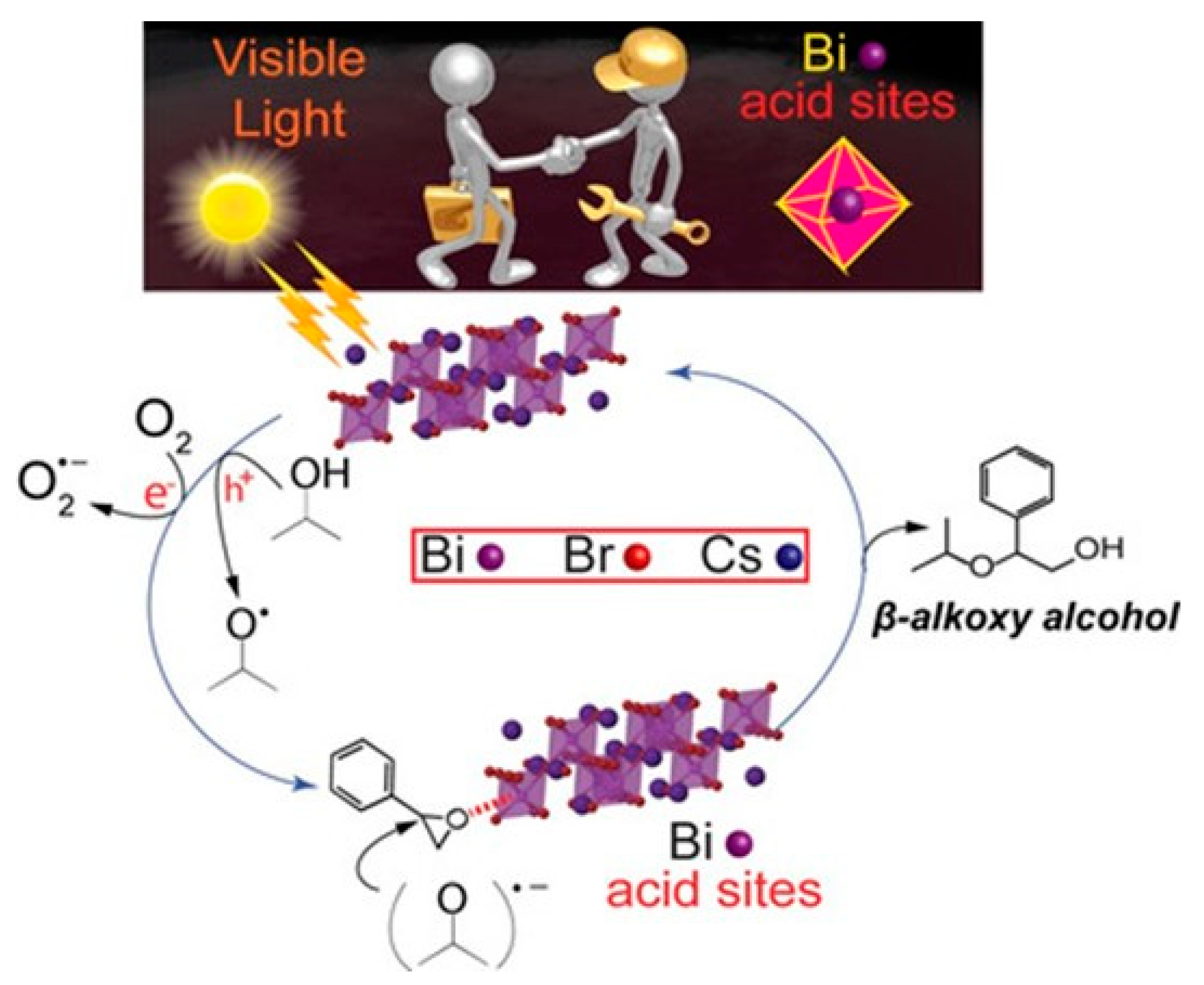 Nanomaterials 14 00094 g029
