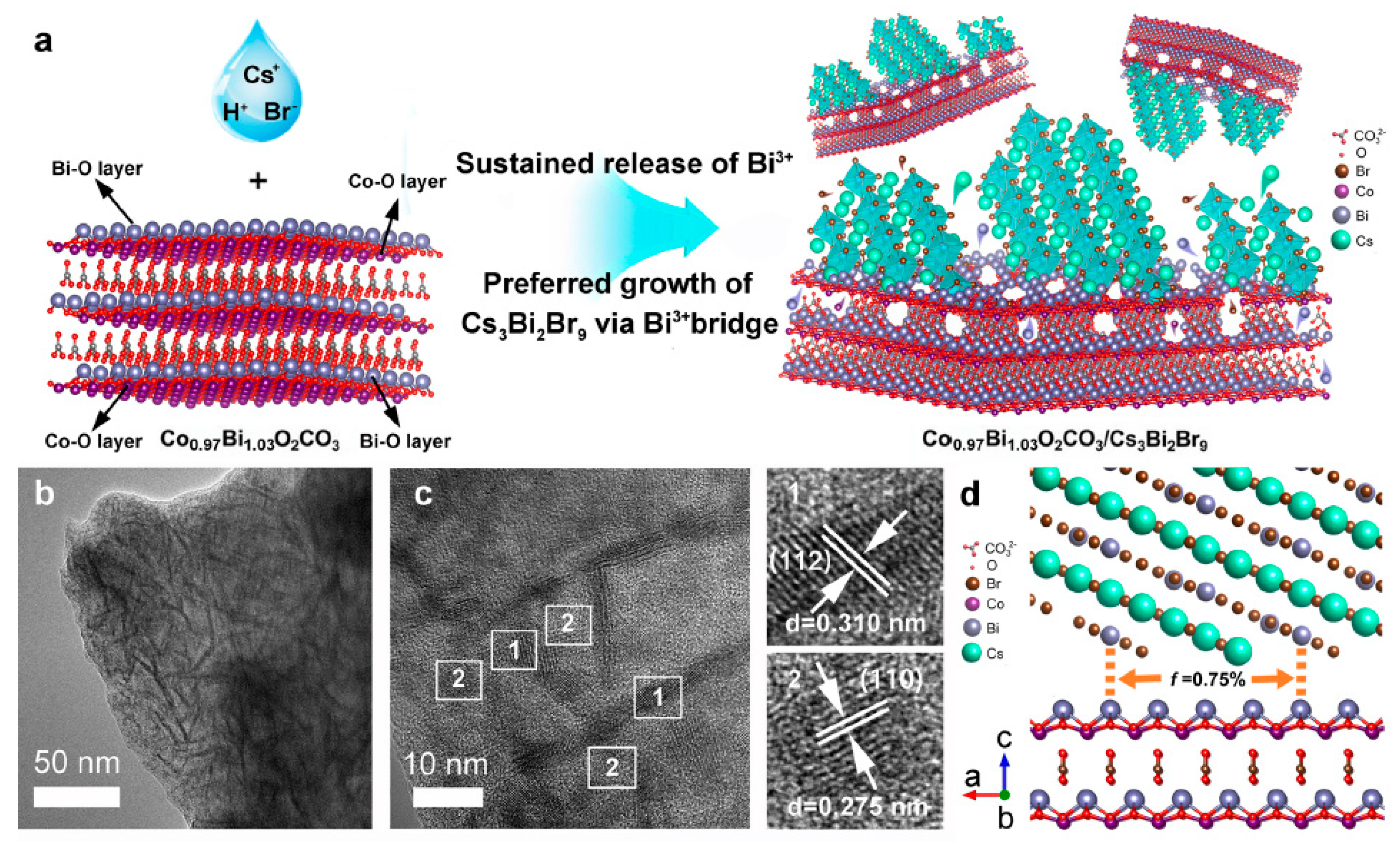 Nanomaterials 14 00094 g035