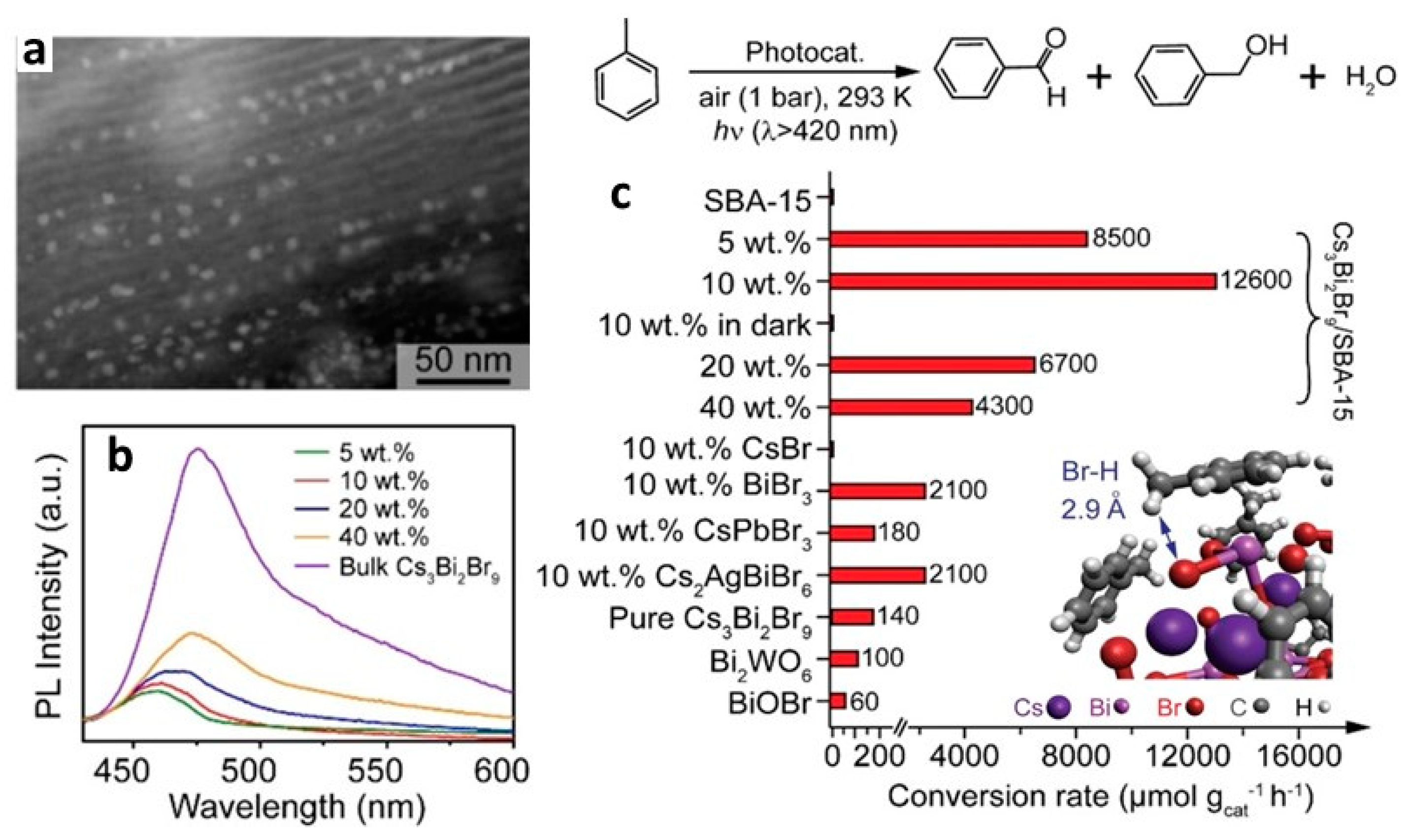 Nanomaterials 14 00094 g040