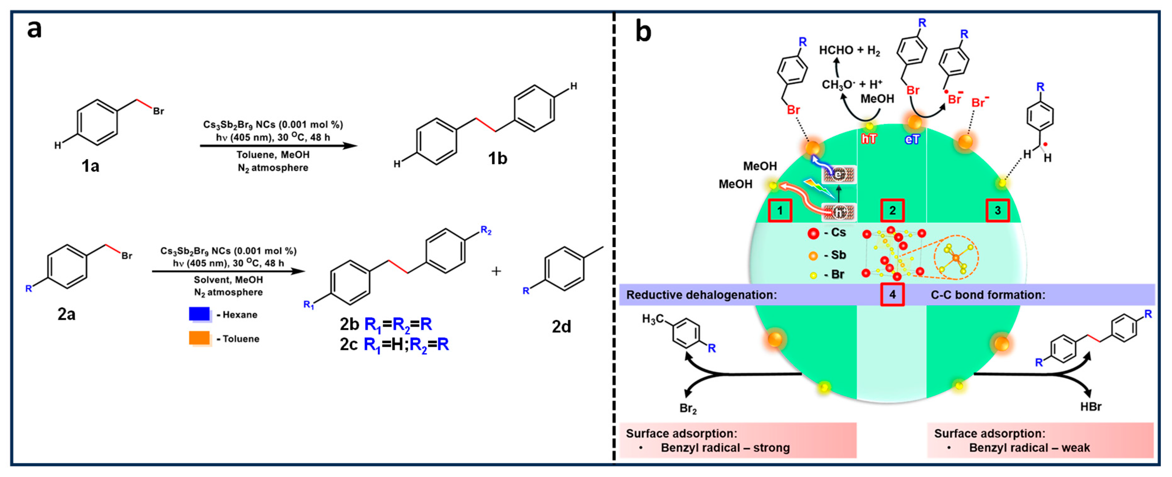 Nanomaterials 14 00094 g044