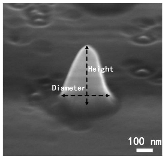 ミン ACP - Tropical atmospheric circulation response to the G1