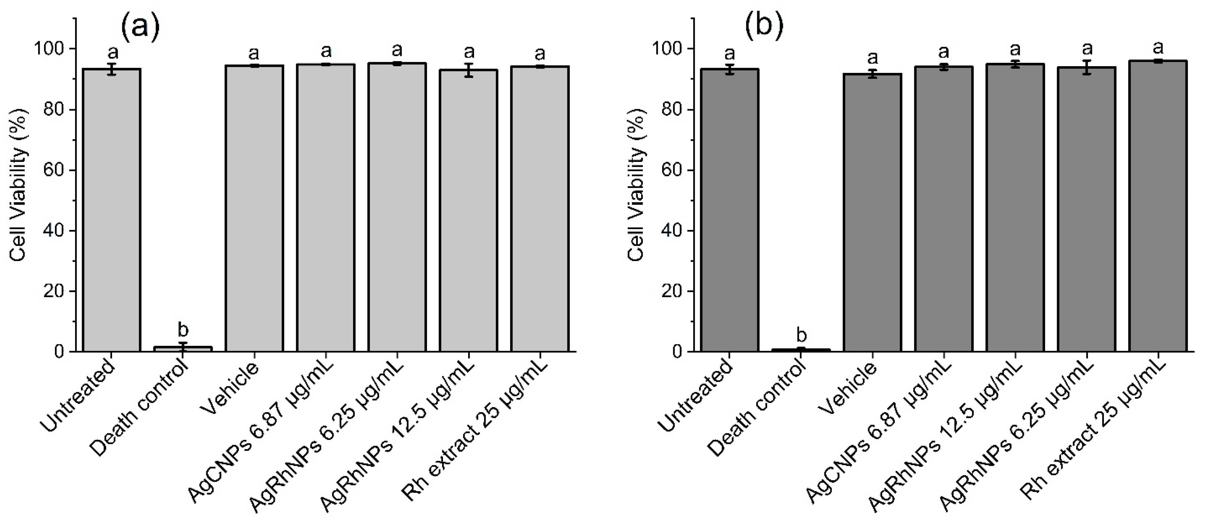 Nanomaterials 14 00106 g006