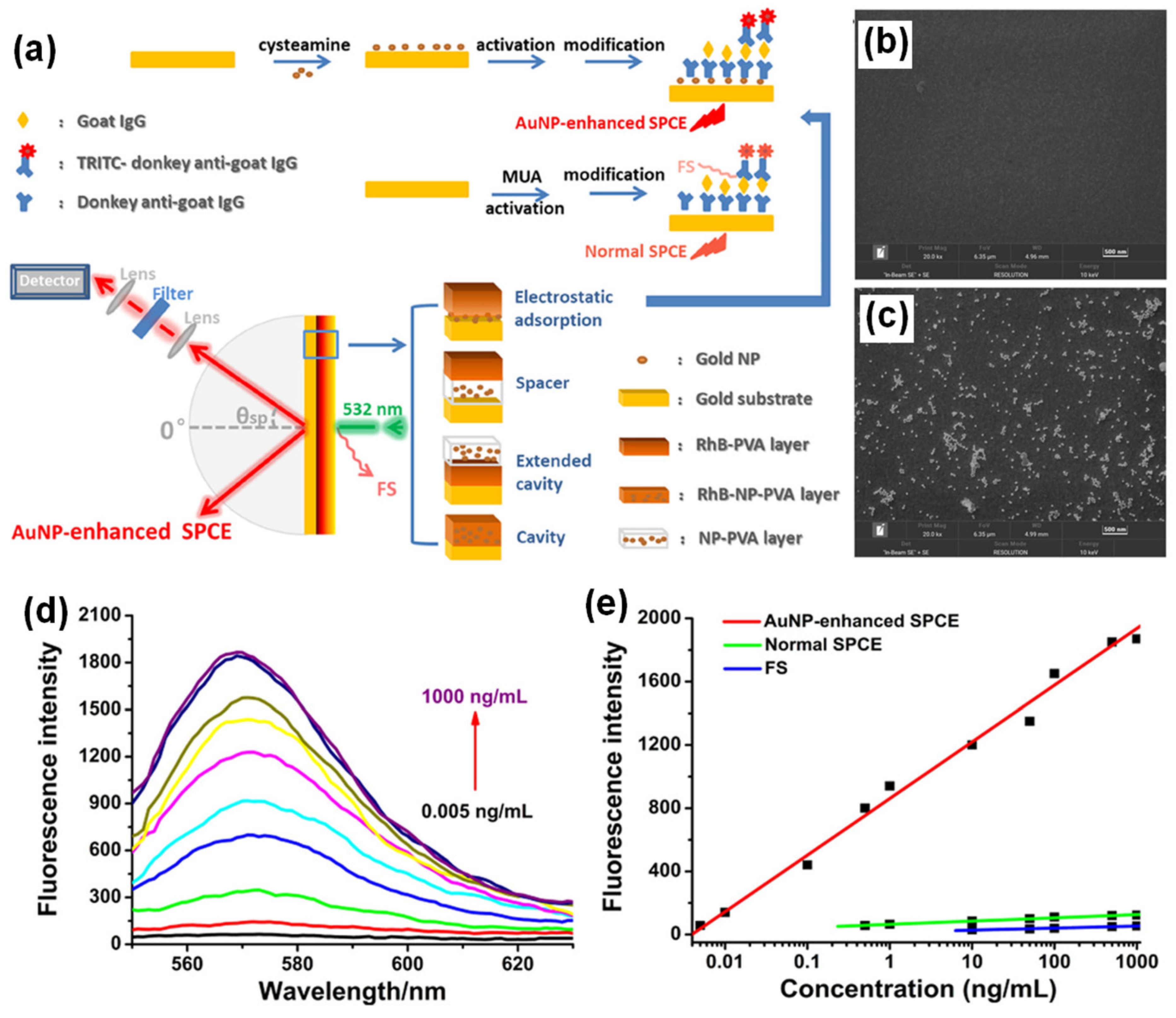 Nanomaterials 14 00111 g002