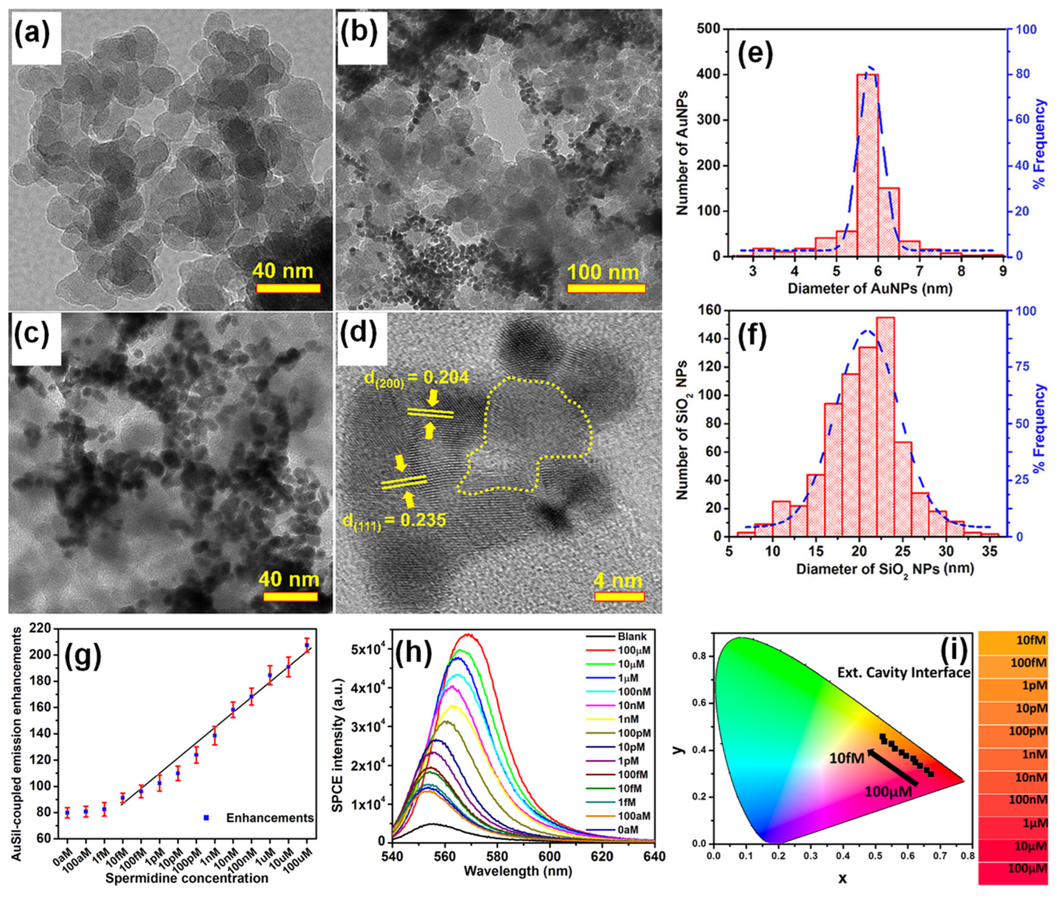 Nanomaterials 14 00111 g003