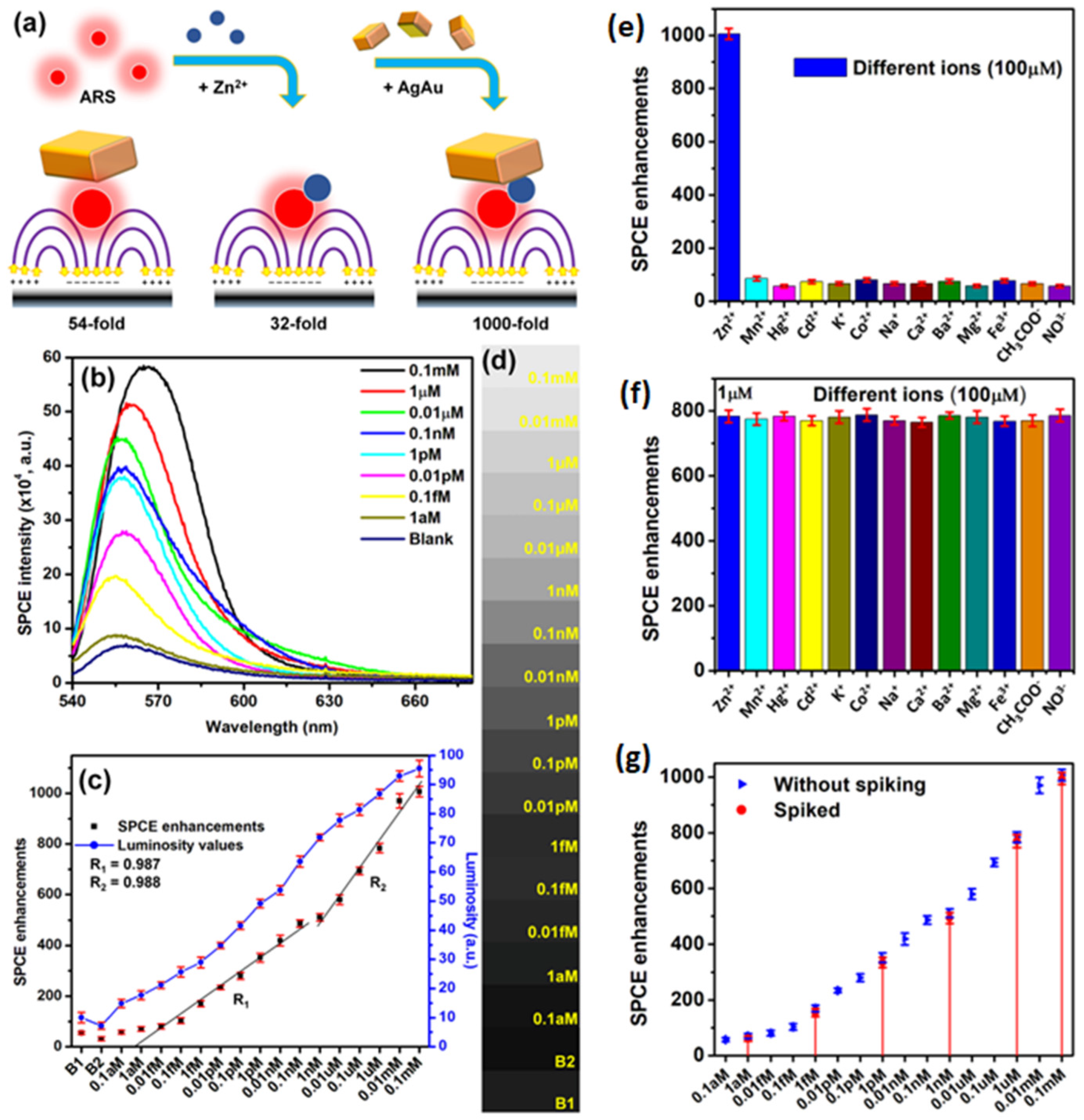 Nanomaterials 14 00111 g010