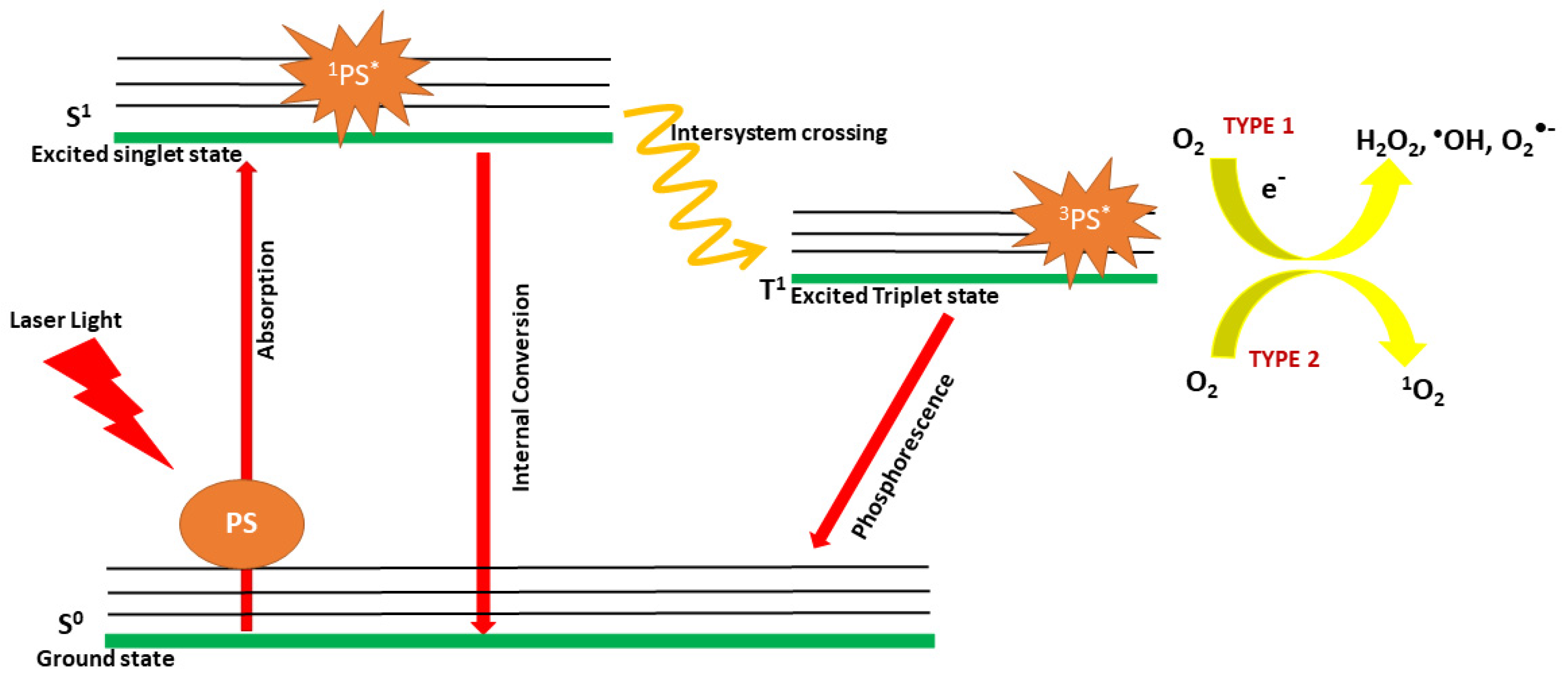Nanomaterials 14 00112 g001