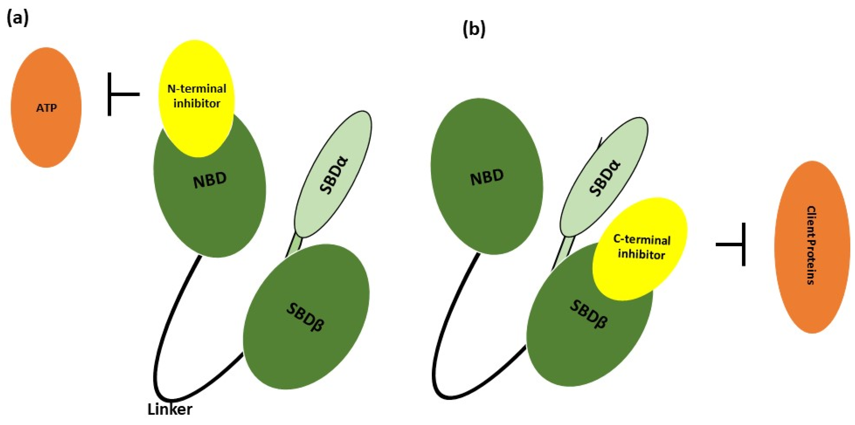 Nanomaterials 14 00112 g002