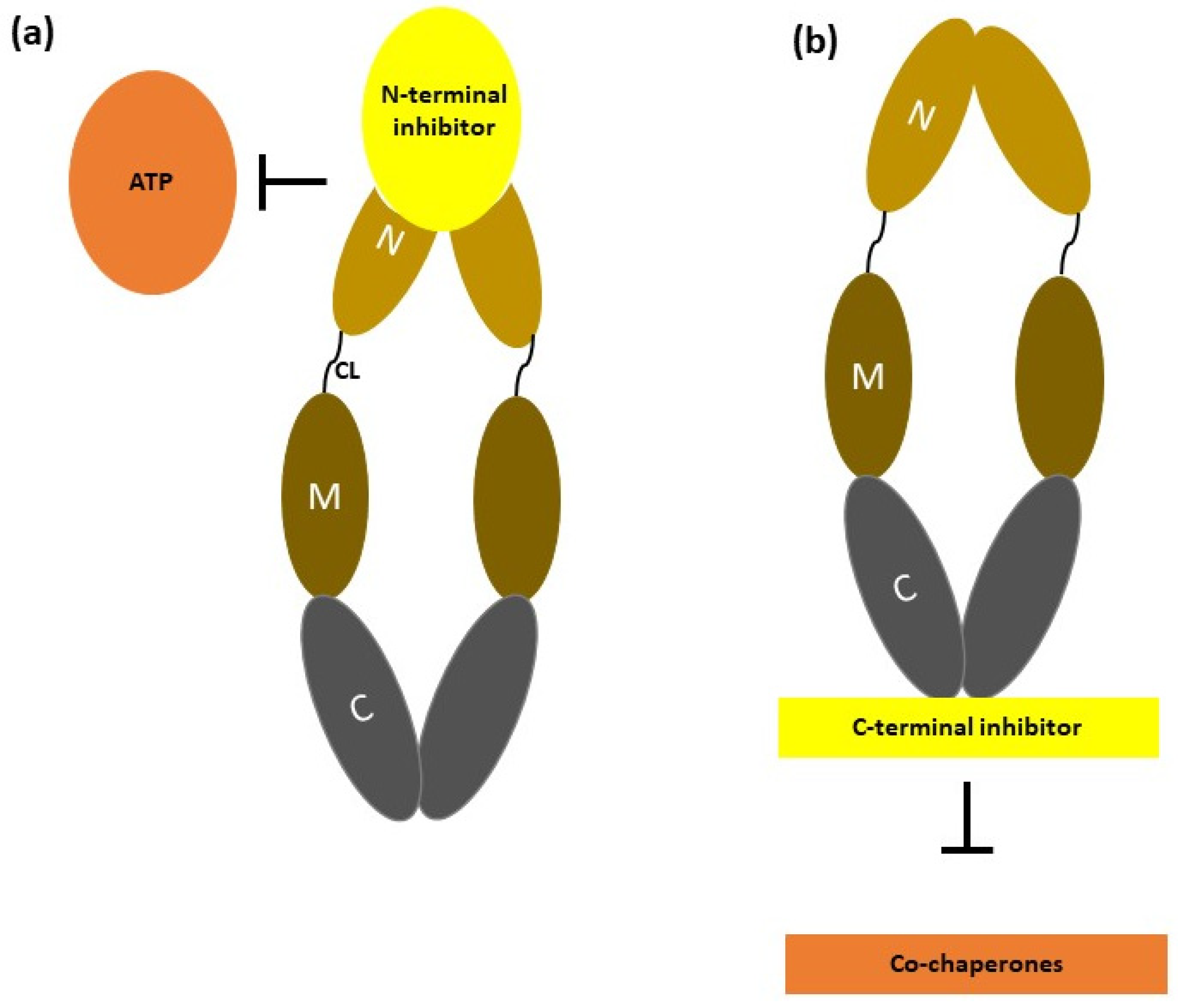 Nanomaterials 14 00112 g003
