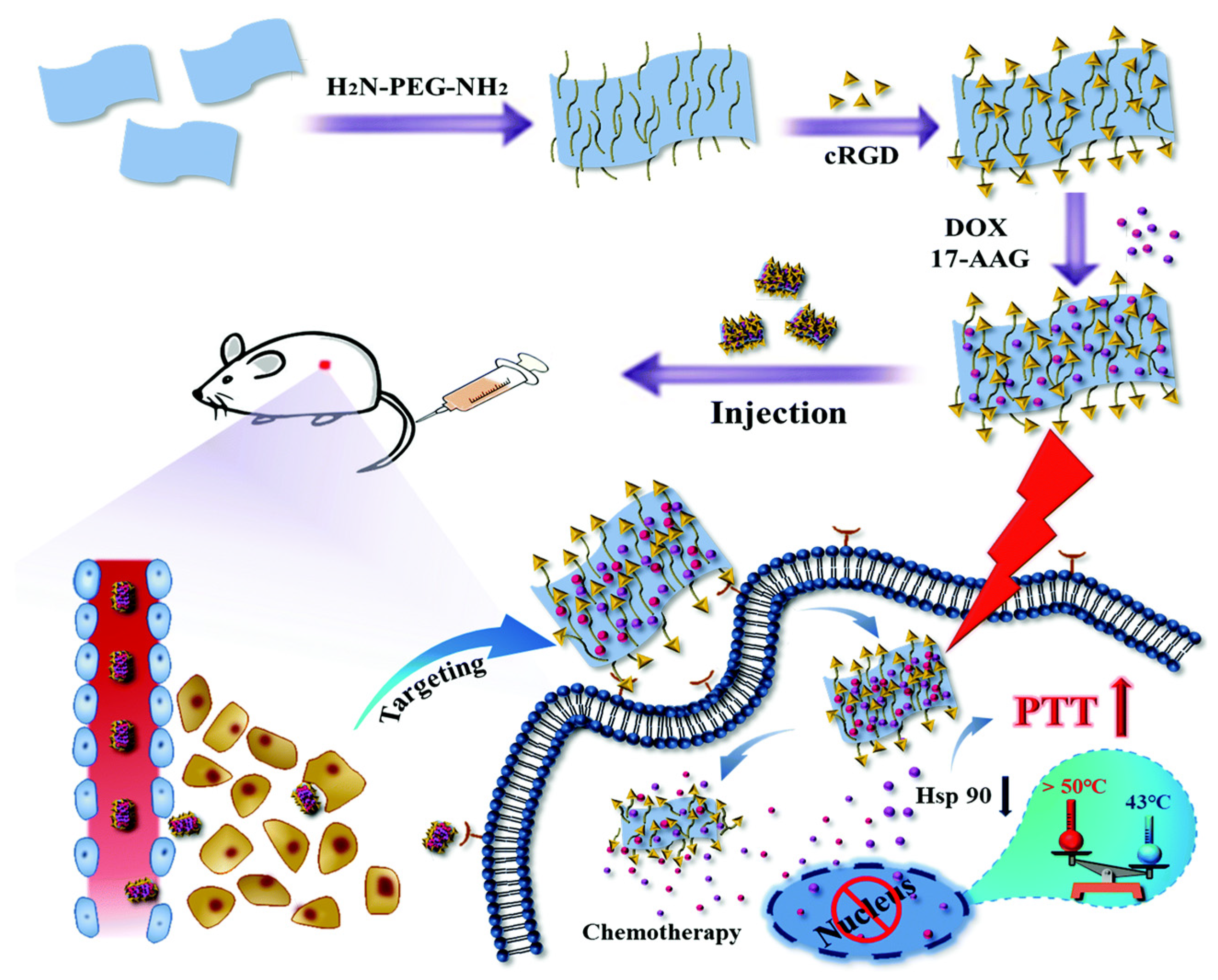 Nanomaterials 14 00112 g006