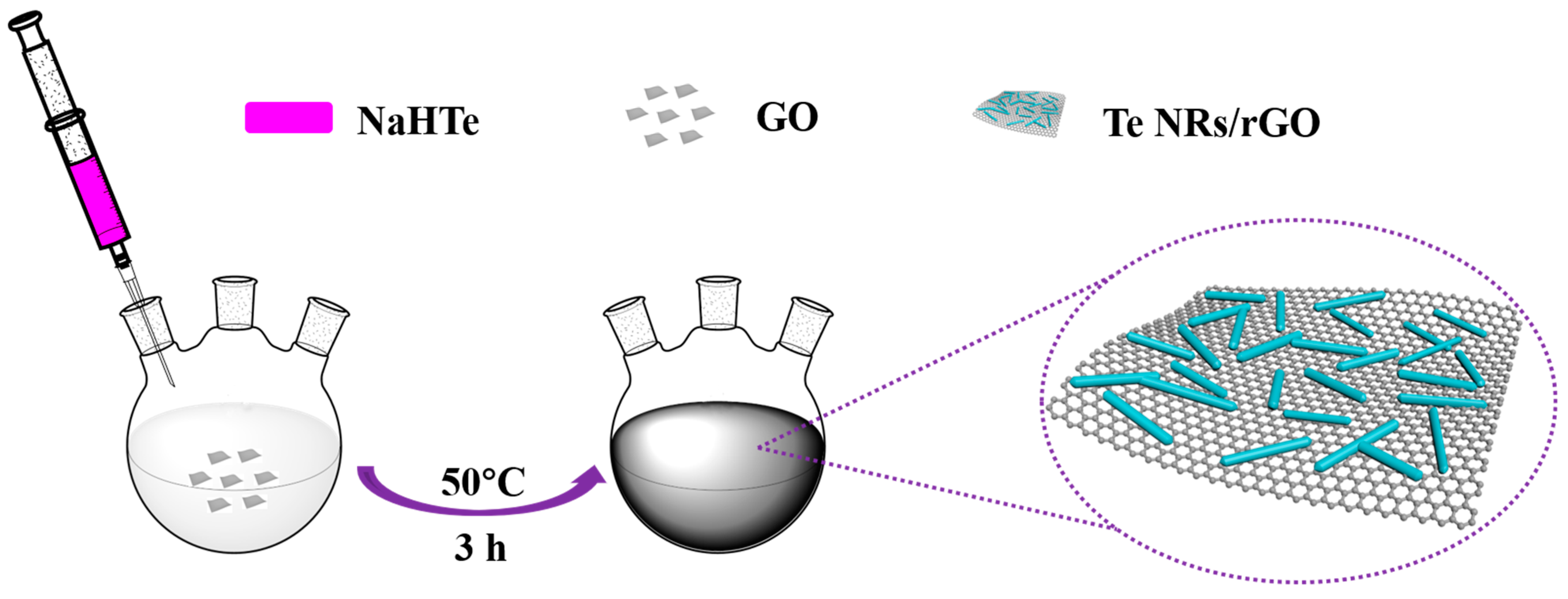 Nanomaterials 14 00118 sch001