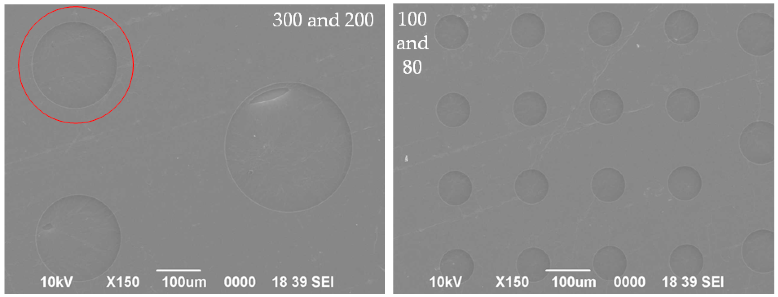 Nanomaterials 14 00130 g007