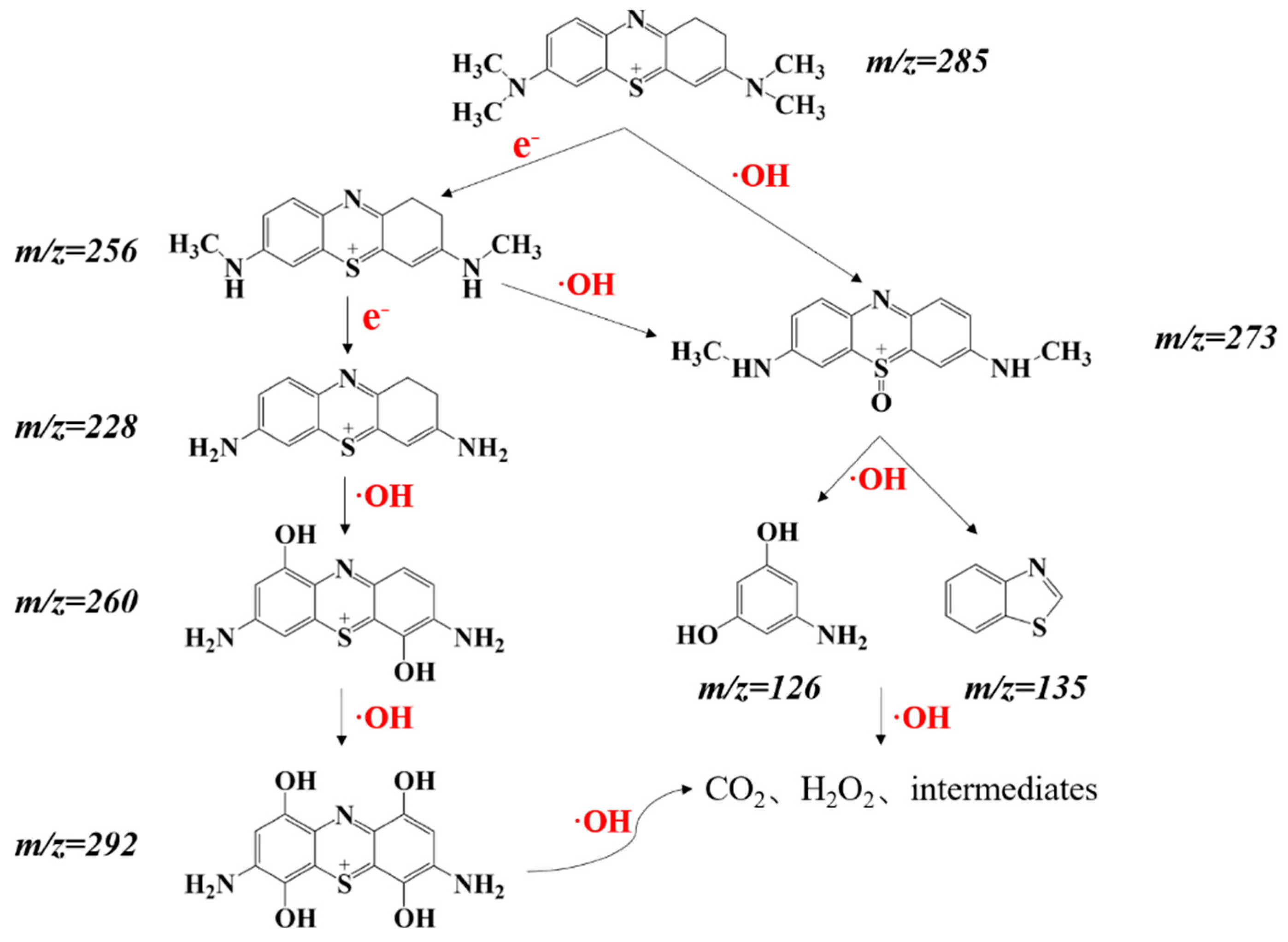 Nanomaterials 14 00132 g012