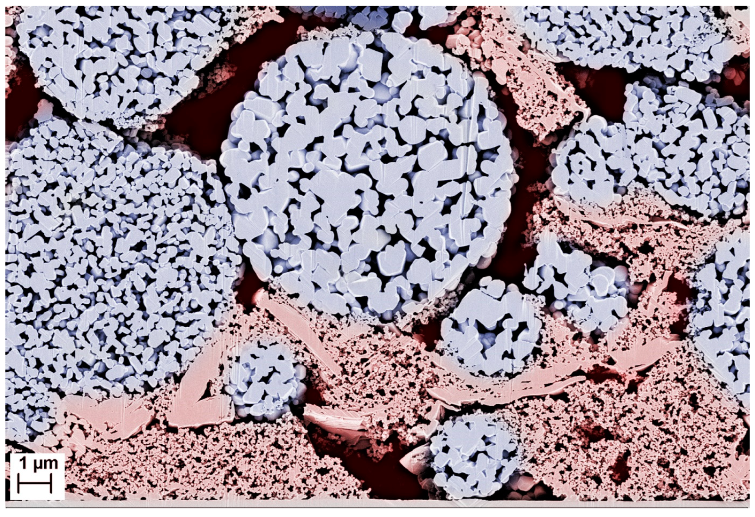 Nanomaterials 14 00134 g001