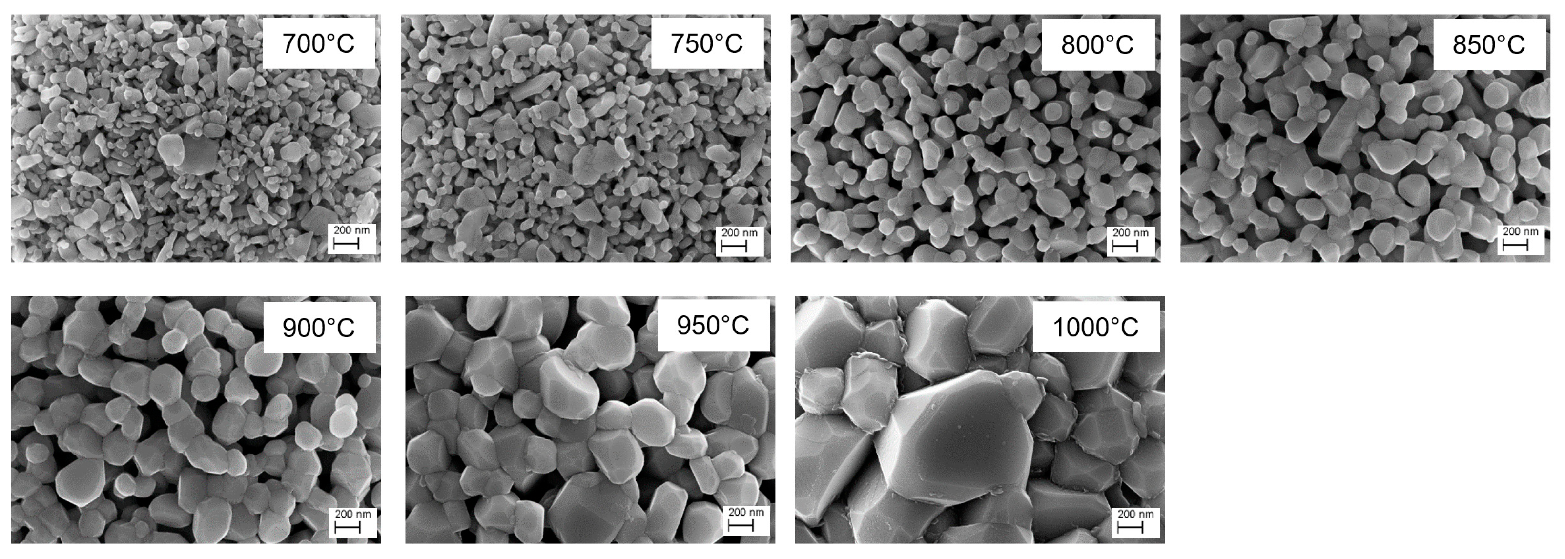 Nanomaterials 14 00134 g004