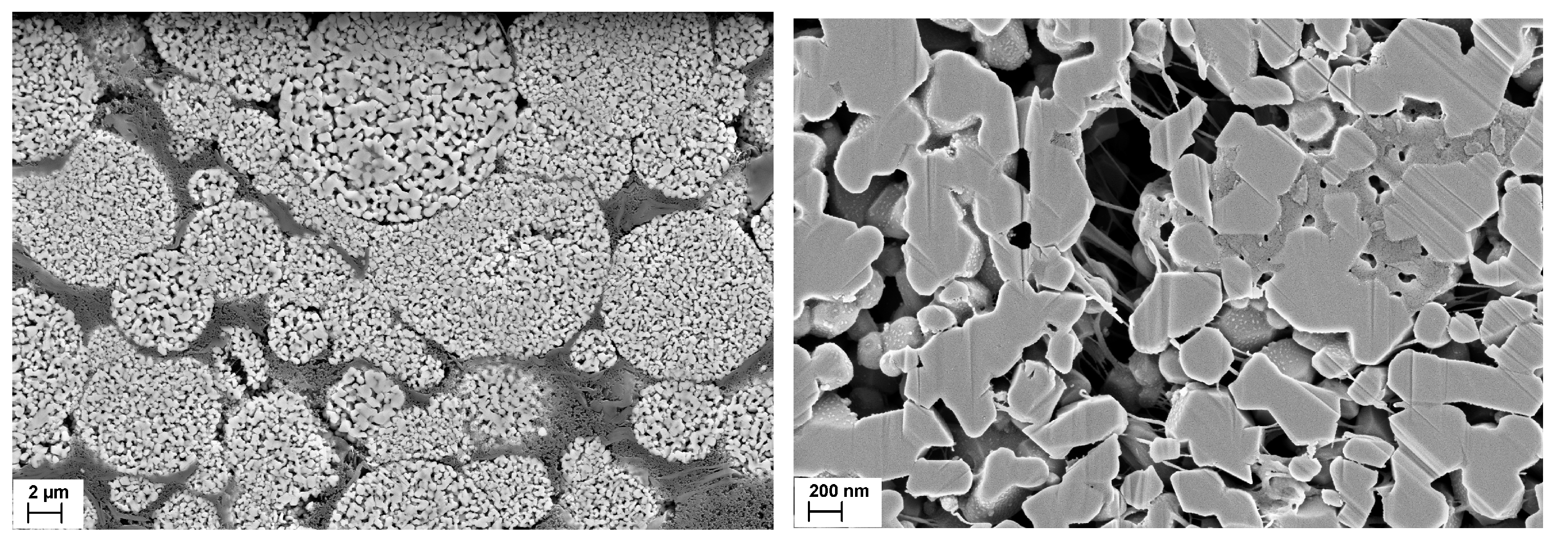 Nanomaterials 14 00134 g012