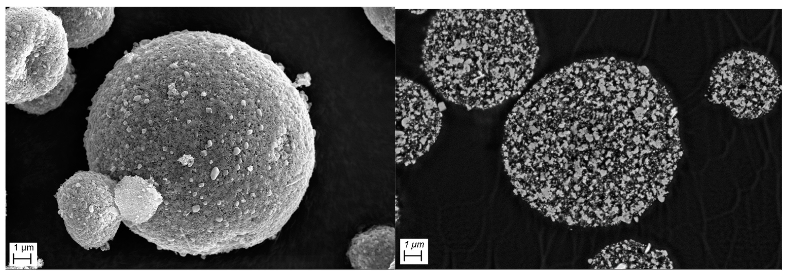 Nanomaterials 14 00134 g017
