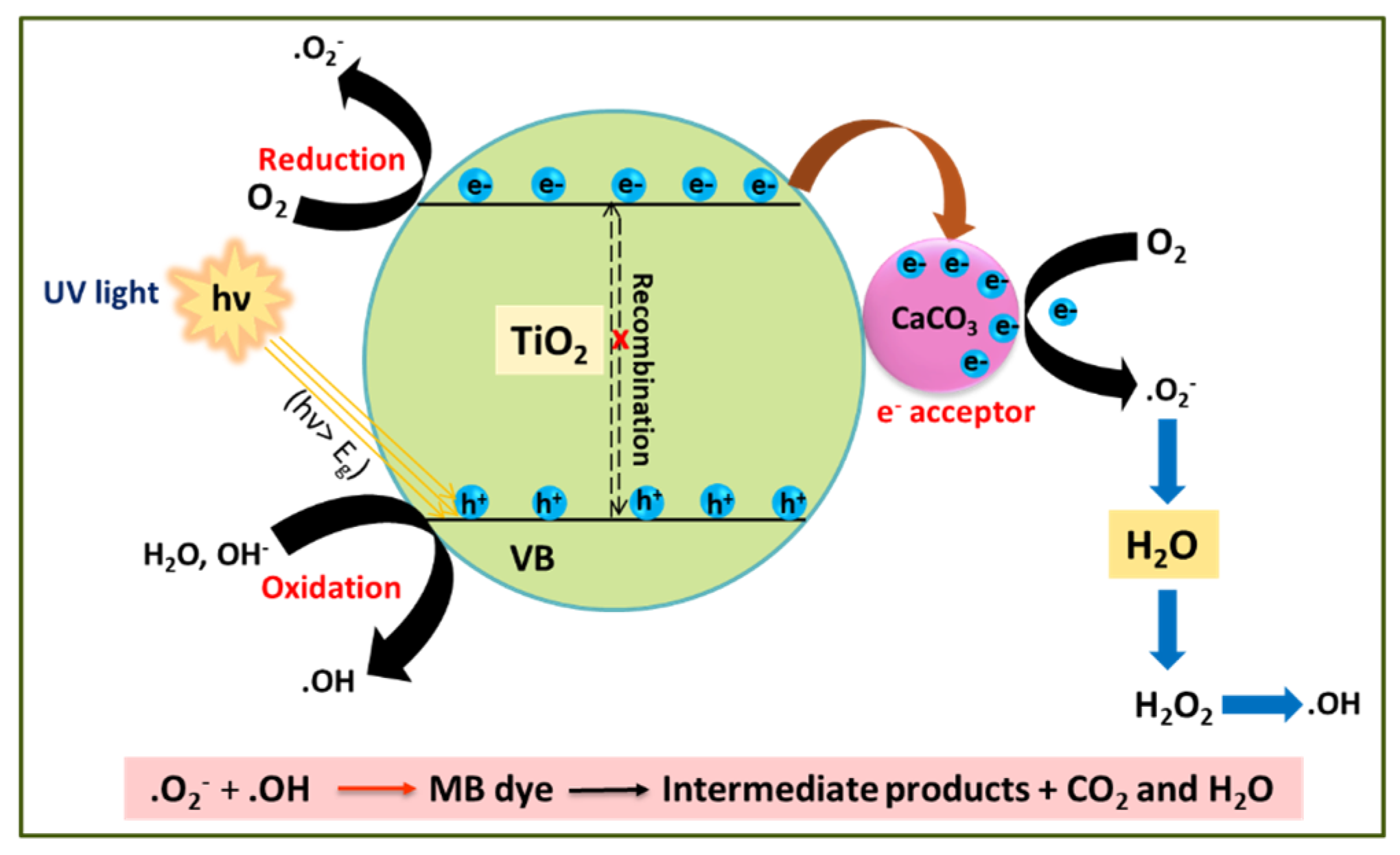 Nanomaterials 14 00136 g001