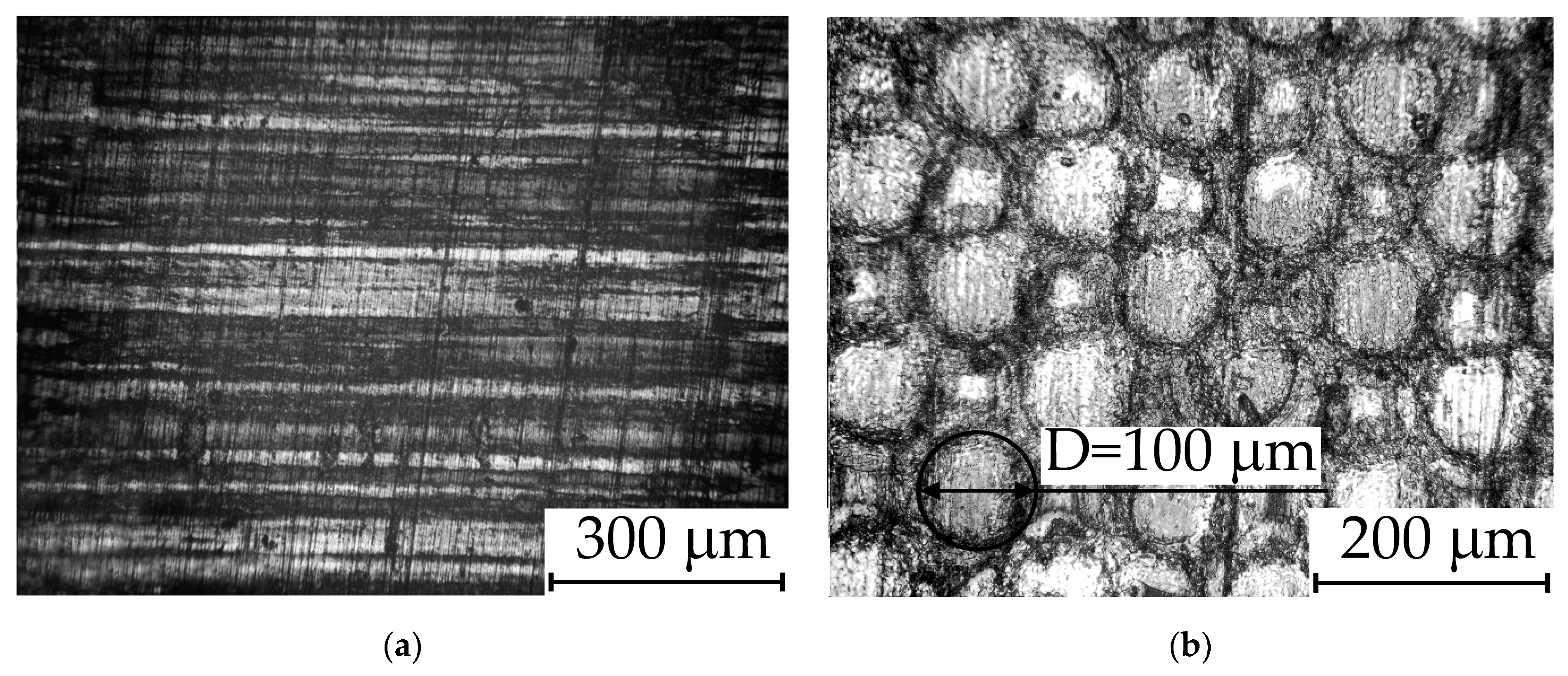 Nanomaterials 14 00139 g003 Nanomaterials 14 00139 g003