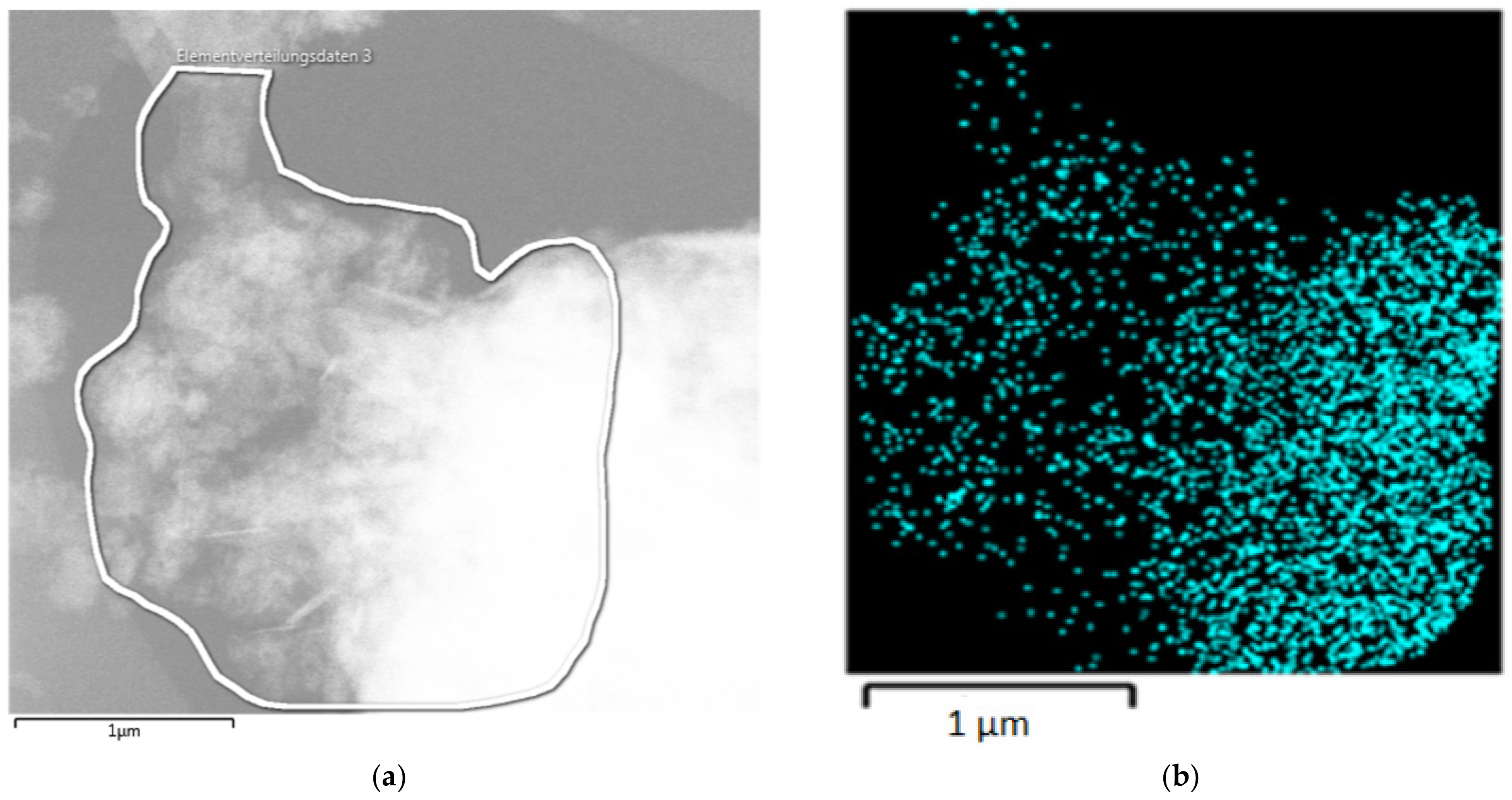 Nanomaterials 14 00140 g008