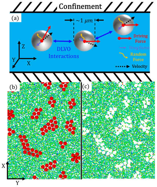 Dynamic Clustering and Scaling Behavior of Active Particles
