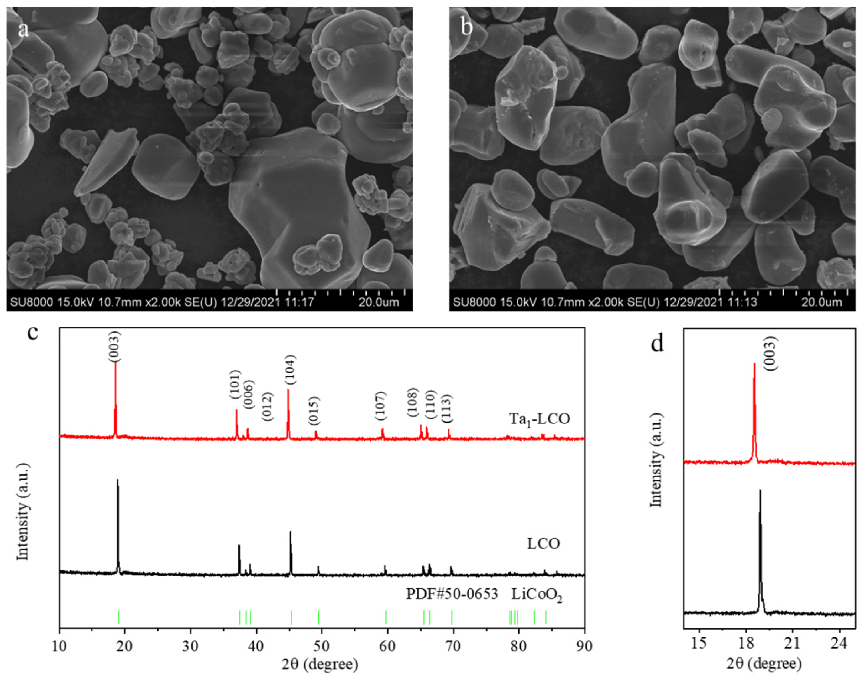 Nanomaterials 14 00147 g001