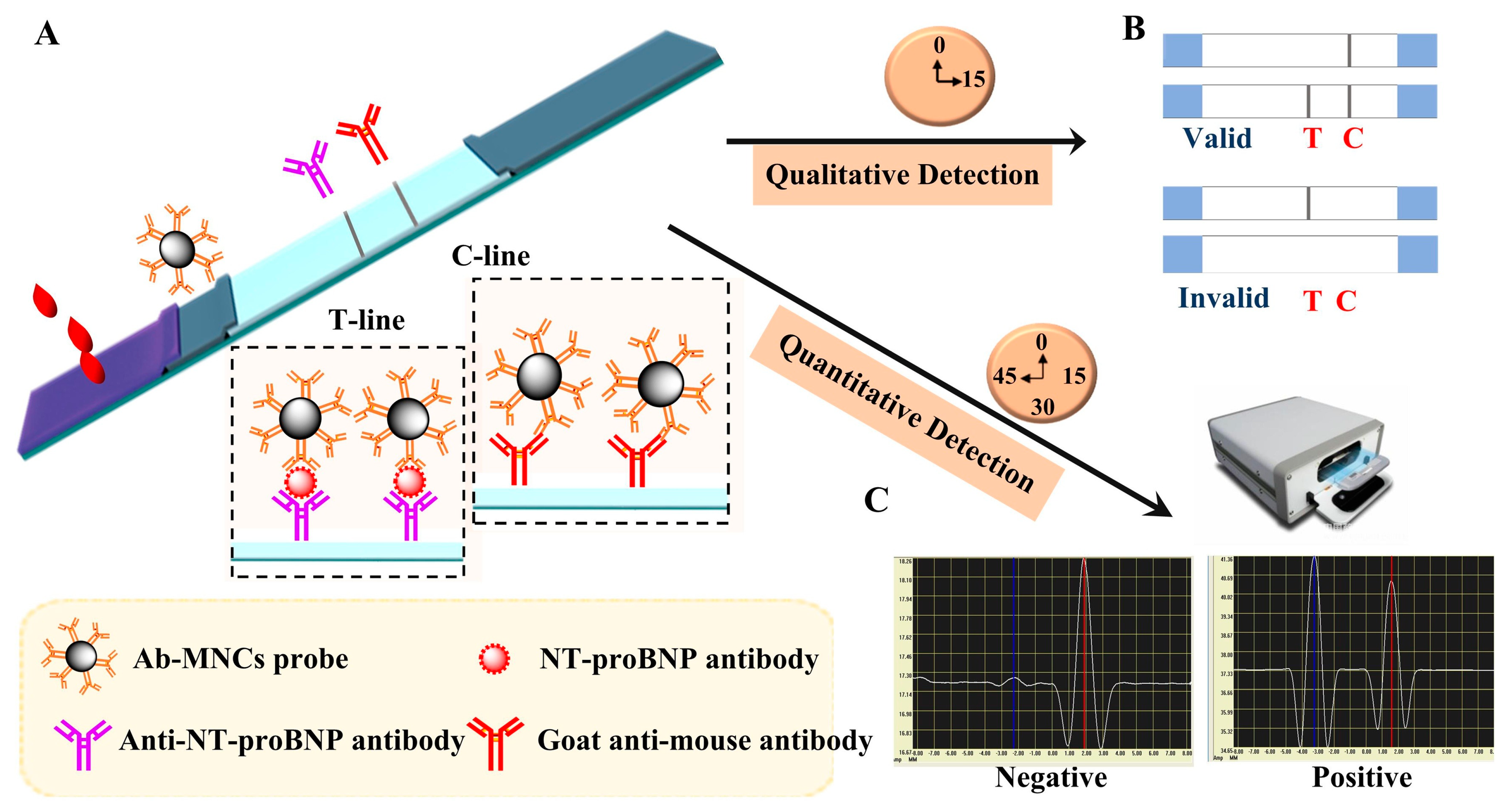 Nanomaterials 14 00153 g005