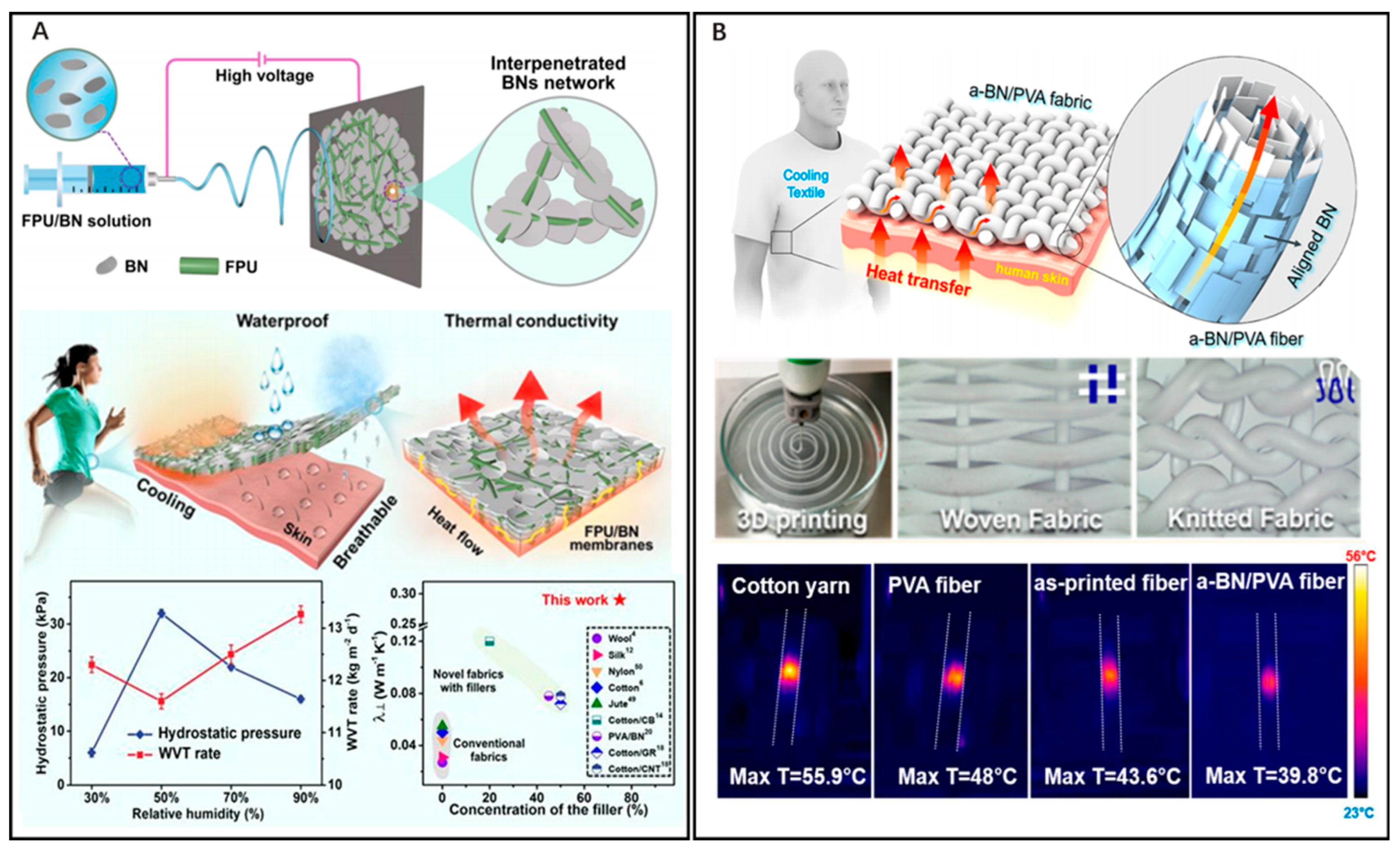 Nanomaterials 14 00154 g002