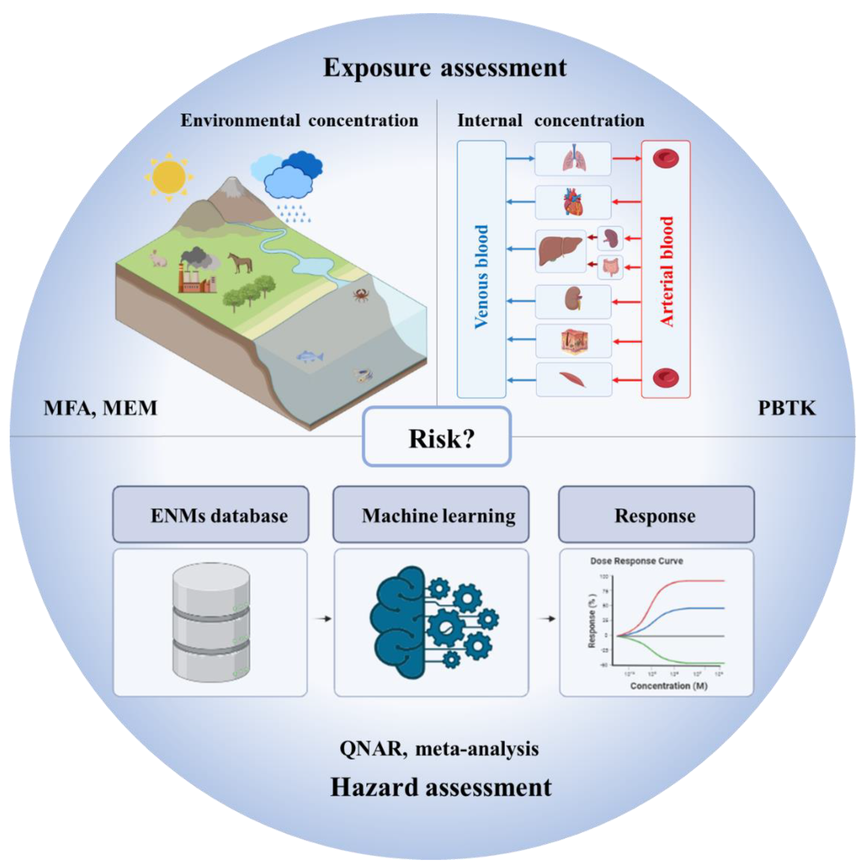 Computational Nanotoxicology Models for Environmental Risk