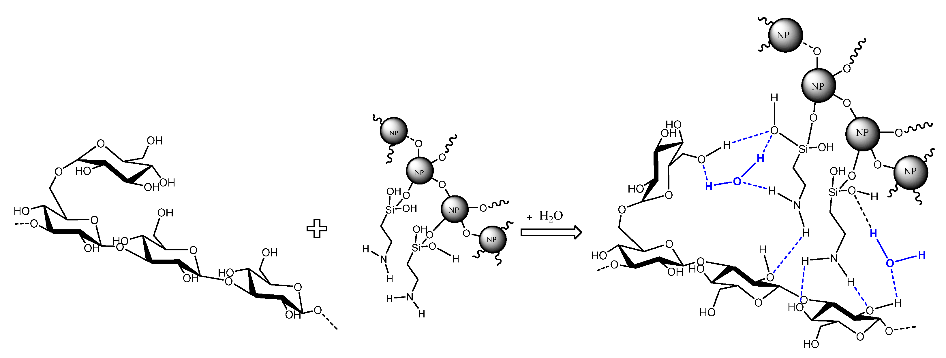 Nanomaterials 14 00156 g002