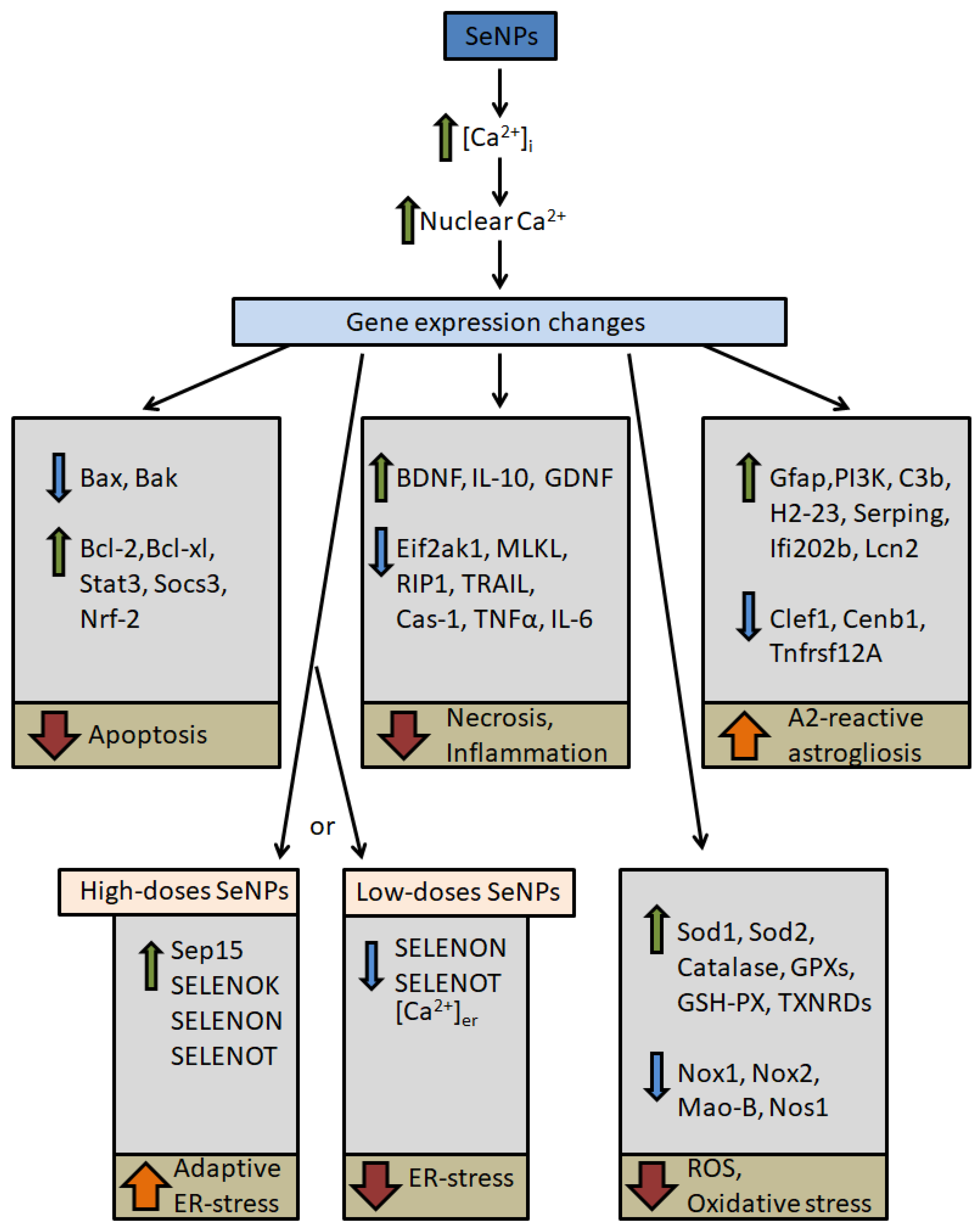Nanomaterials 14 00160 g002 Nanomaterials 14 00160 g002