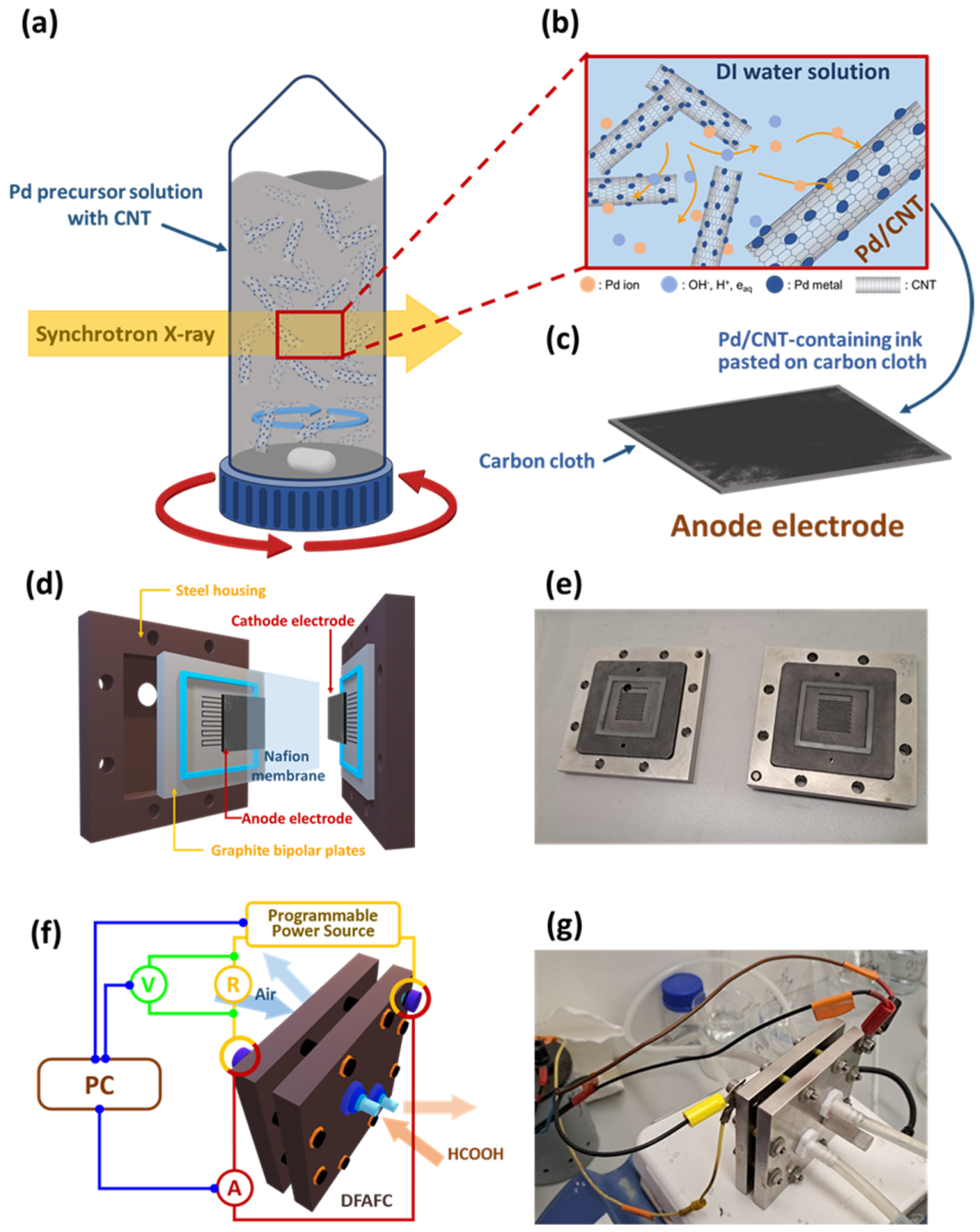Nanomaterials 14 00162 g001