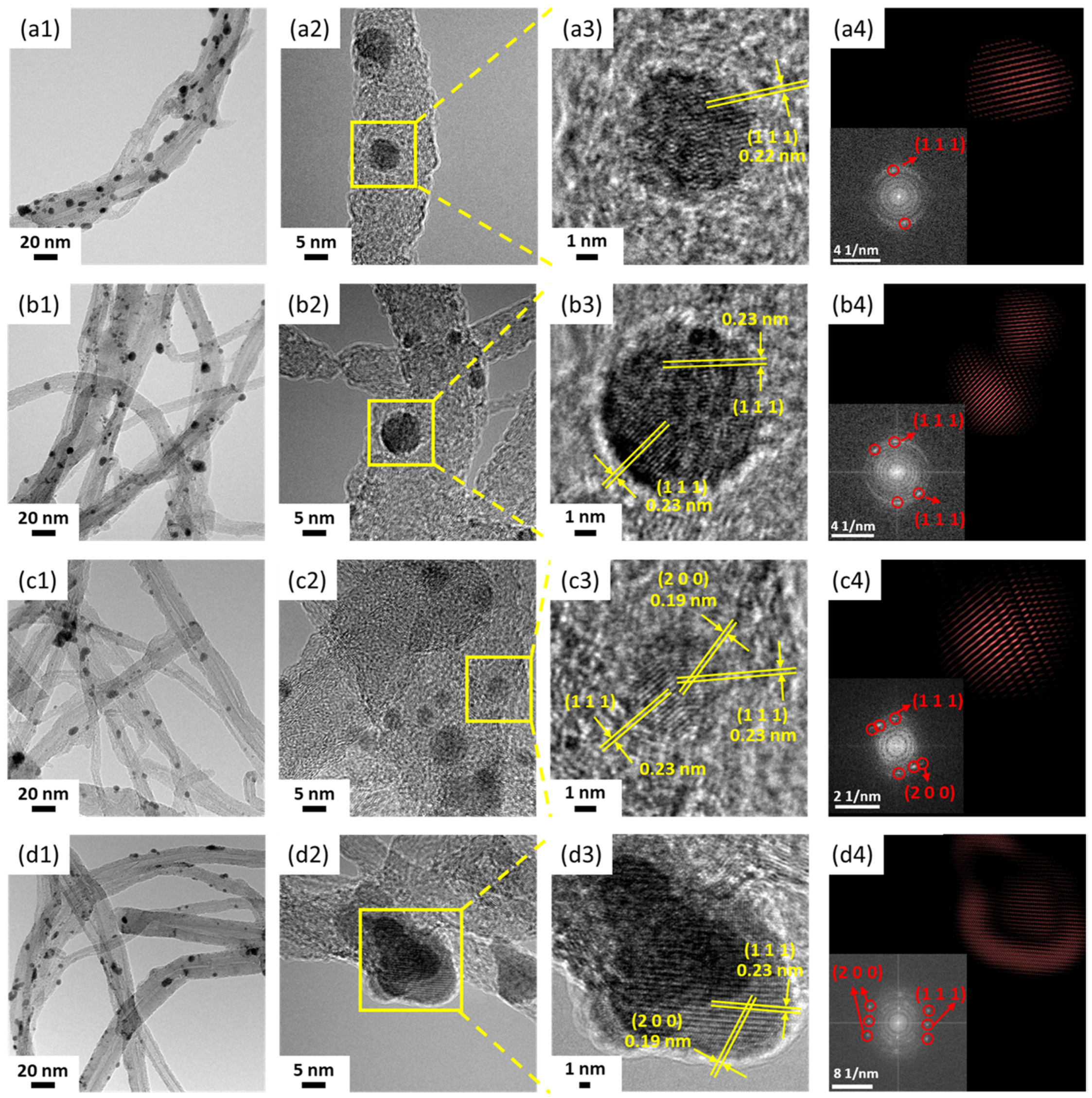 Nanomaterials 14 00162 g006