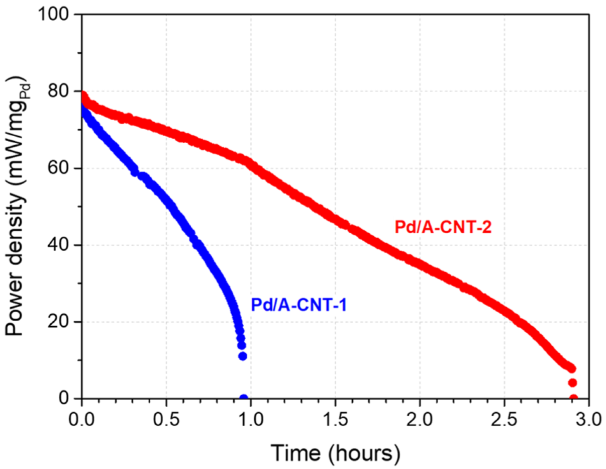 Nanomaterials 14 00162 g010