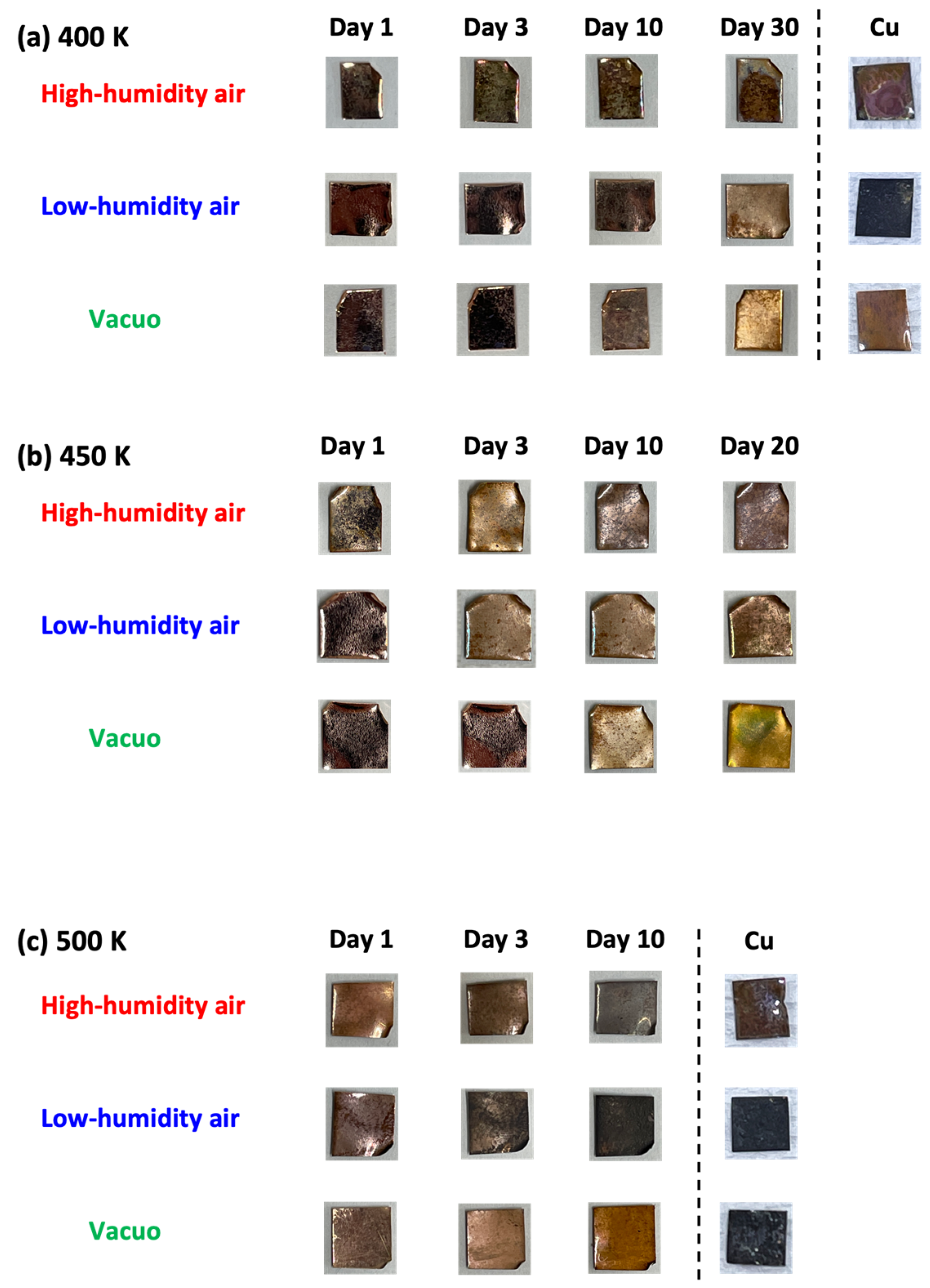 Nanomaterials 14 00166 g002