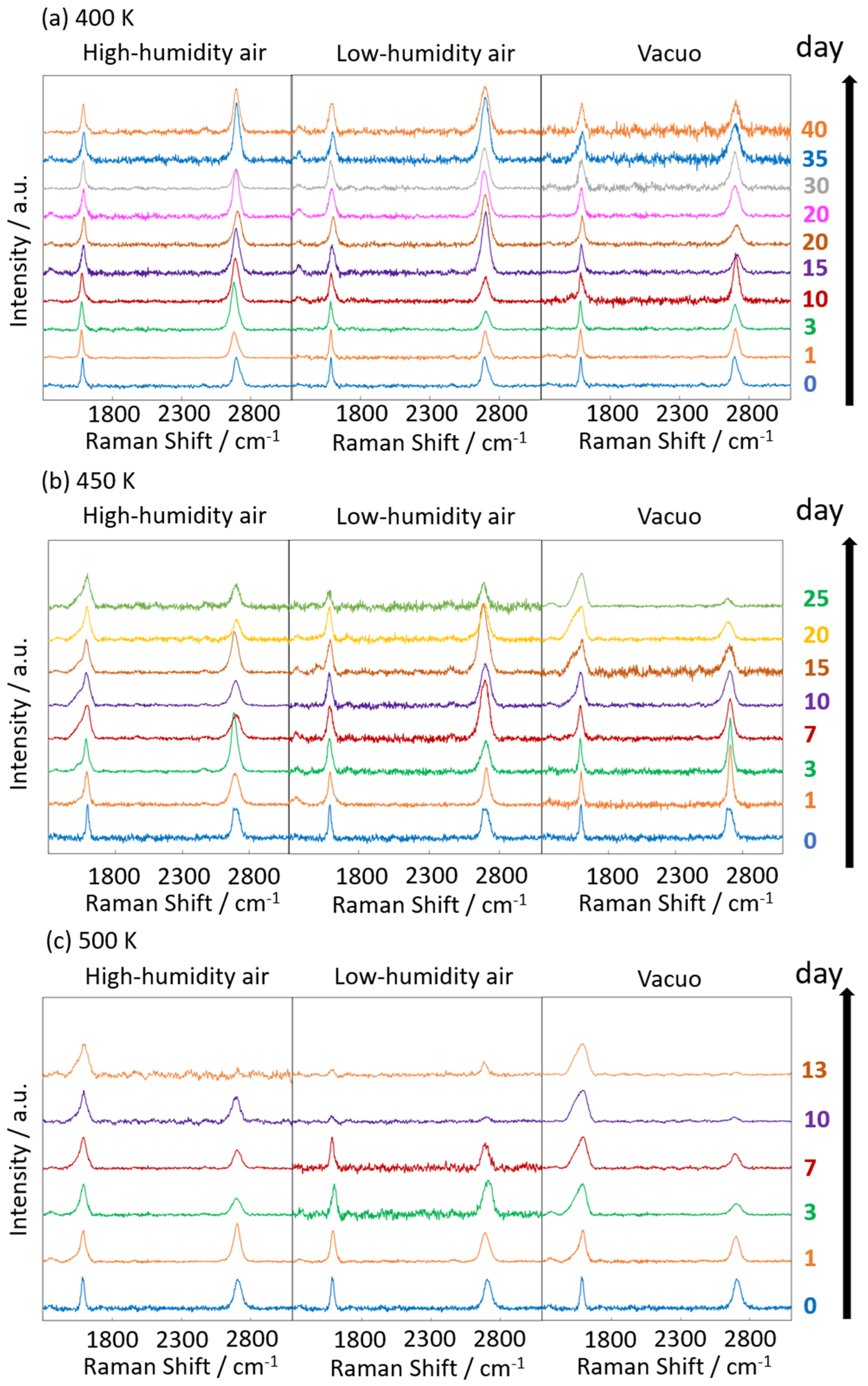 Nanomaterials 14 00166 g006