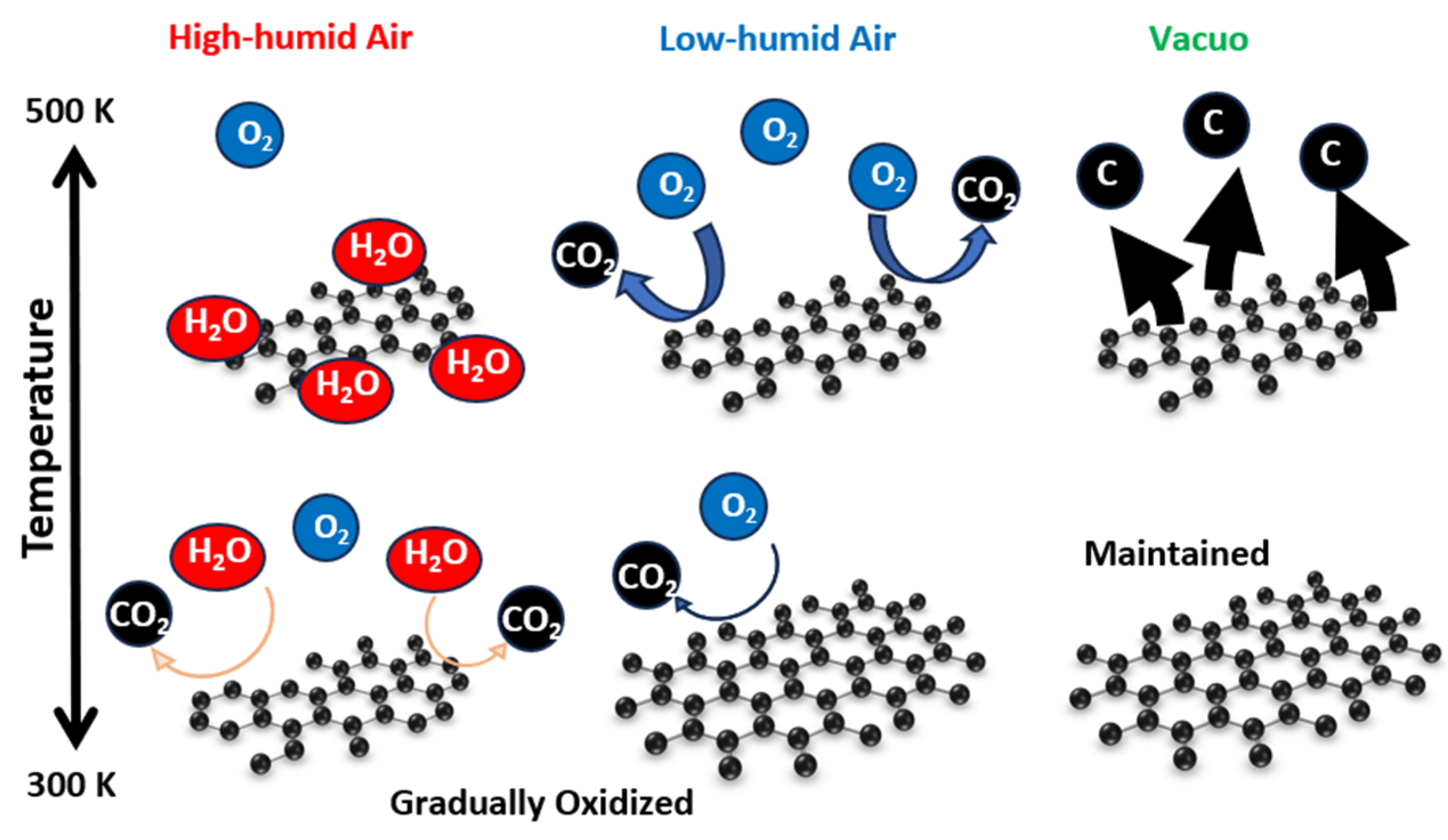Nanomaterials 14 00166 g012