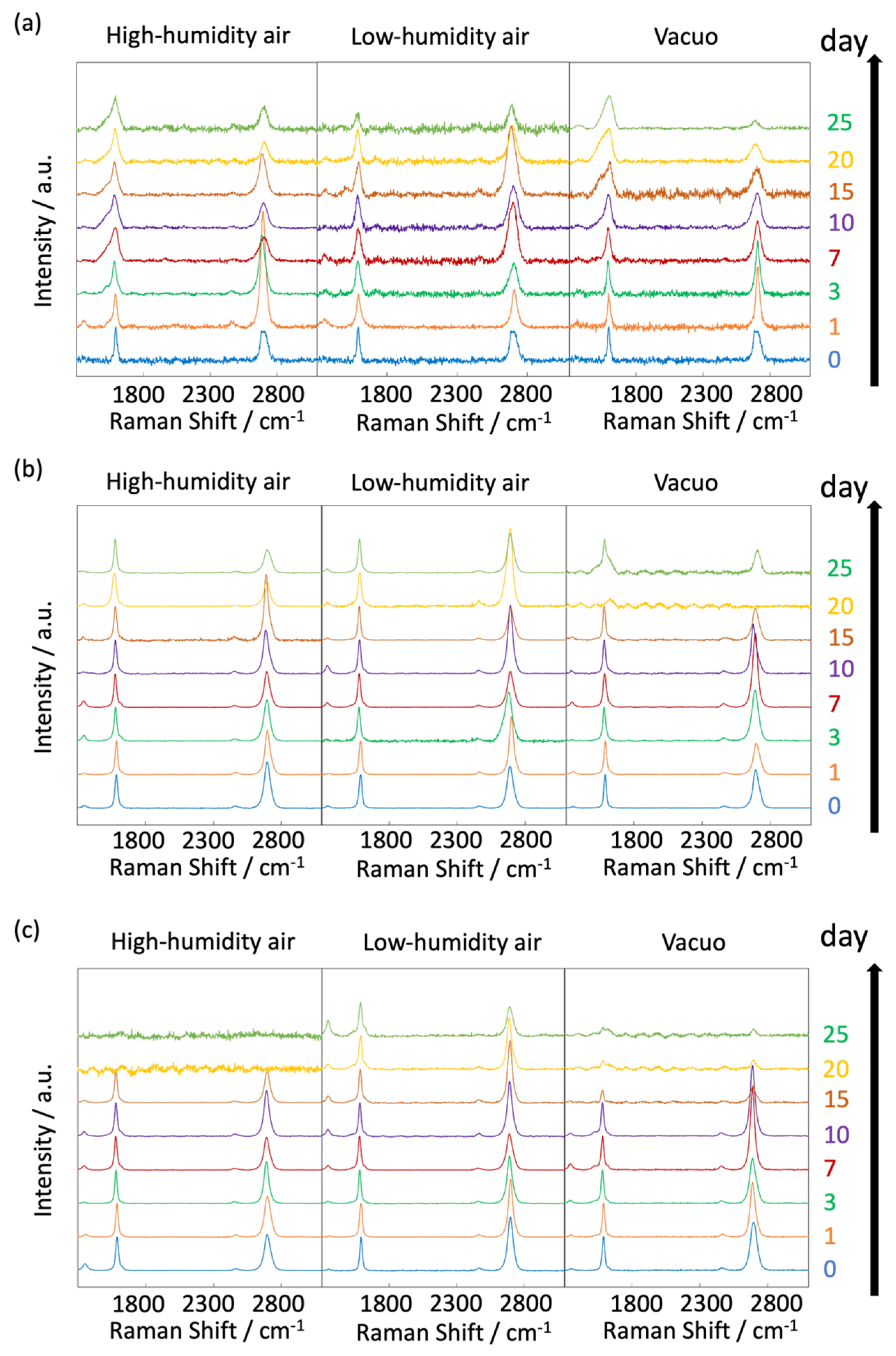 Nanomaterials 14 00166 g013