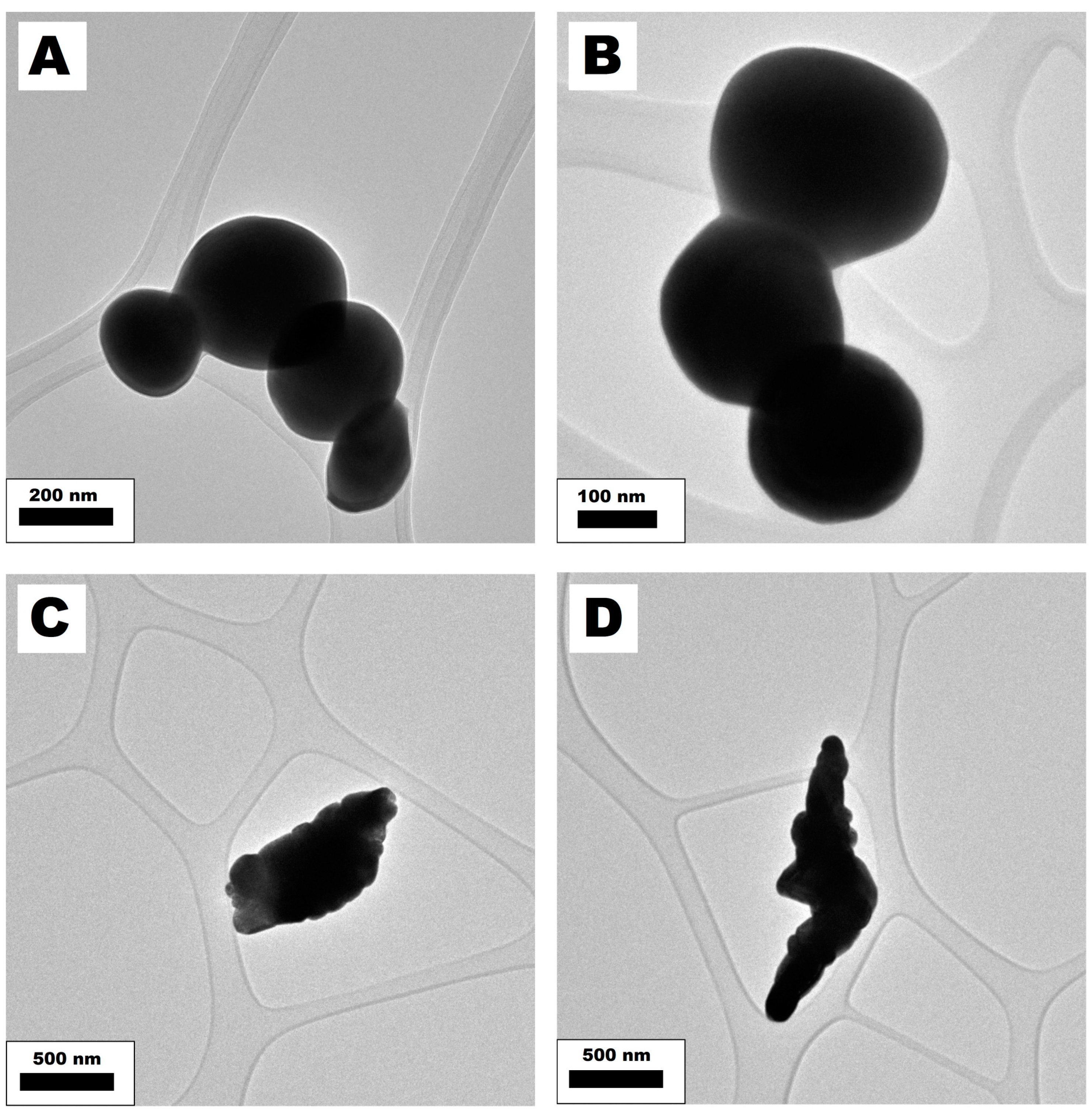Nanomaterials 14 00168 g005