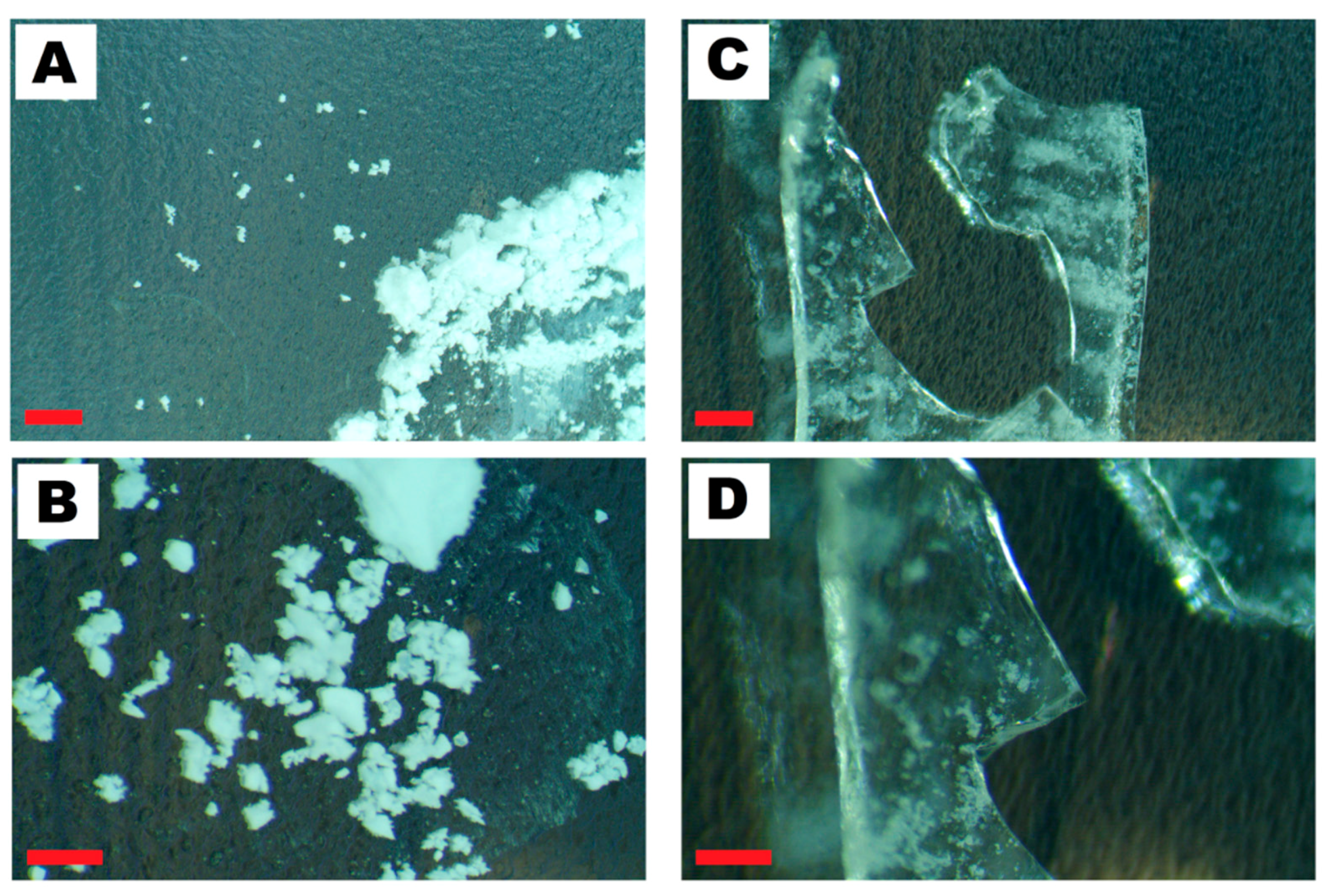 Nanomaterials 14 00168 g006
