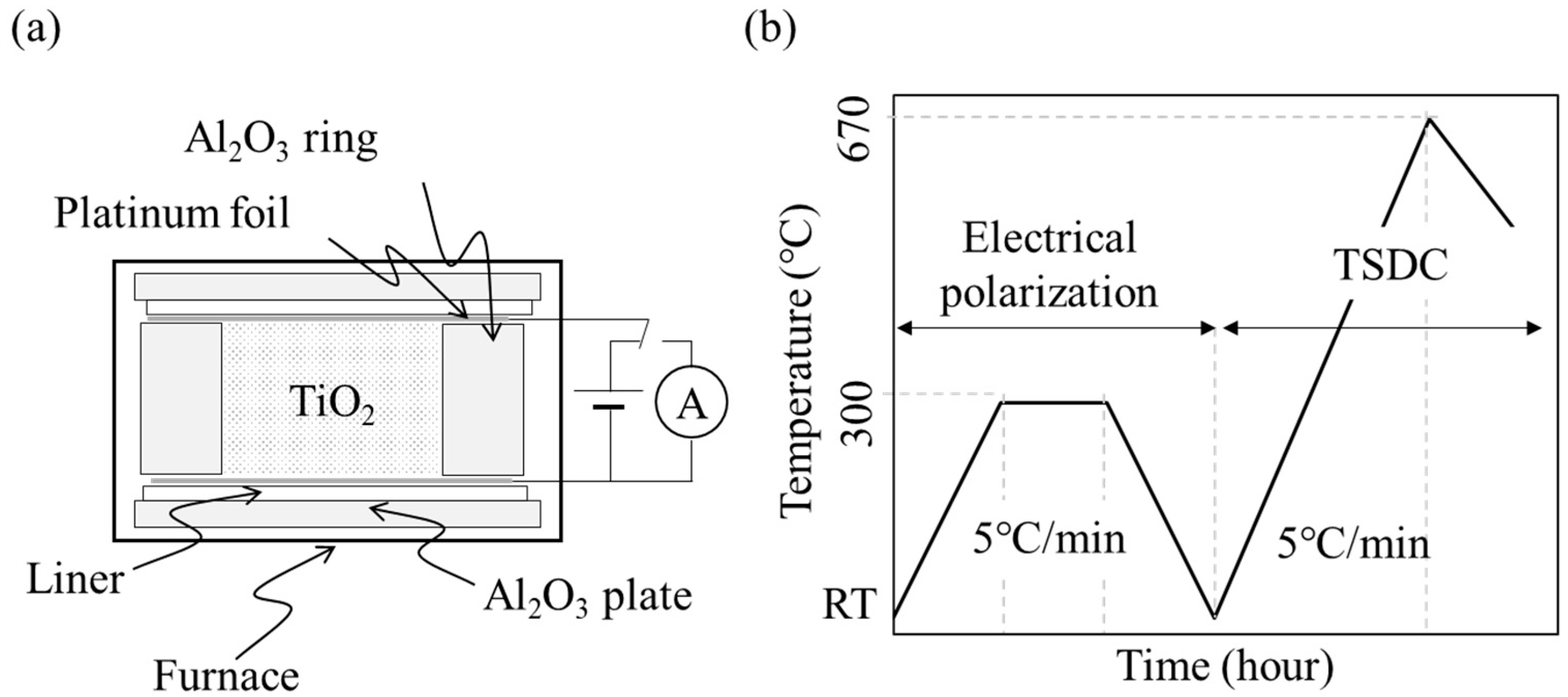 Nanomaterials 14 00171 g001