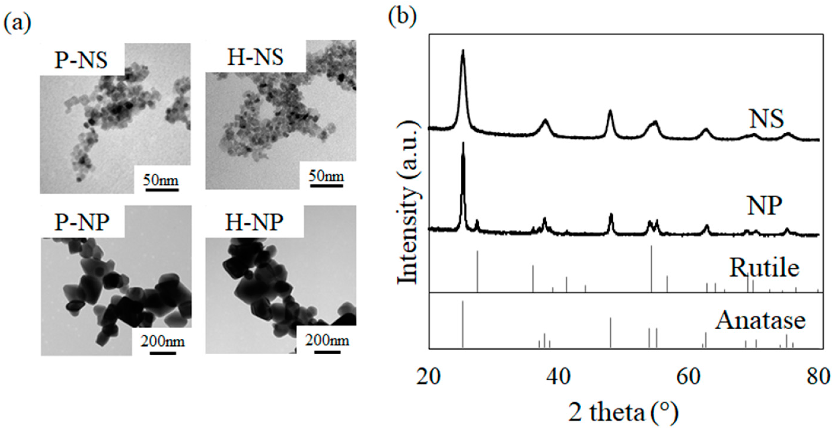 Nanomaterials 14 00171 g003
