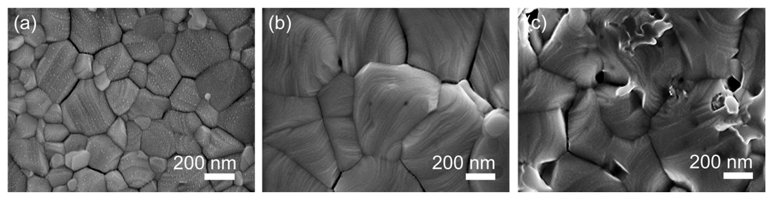 Nanomaterials 14 00172 g001