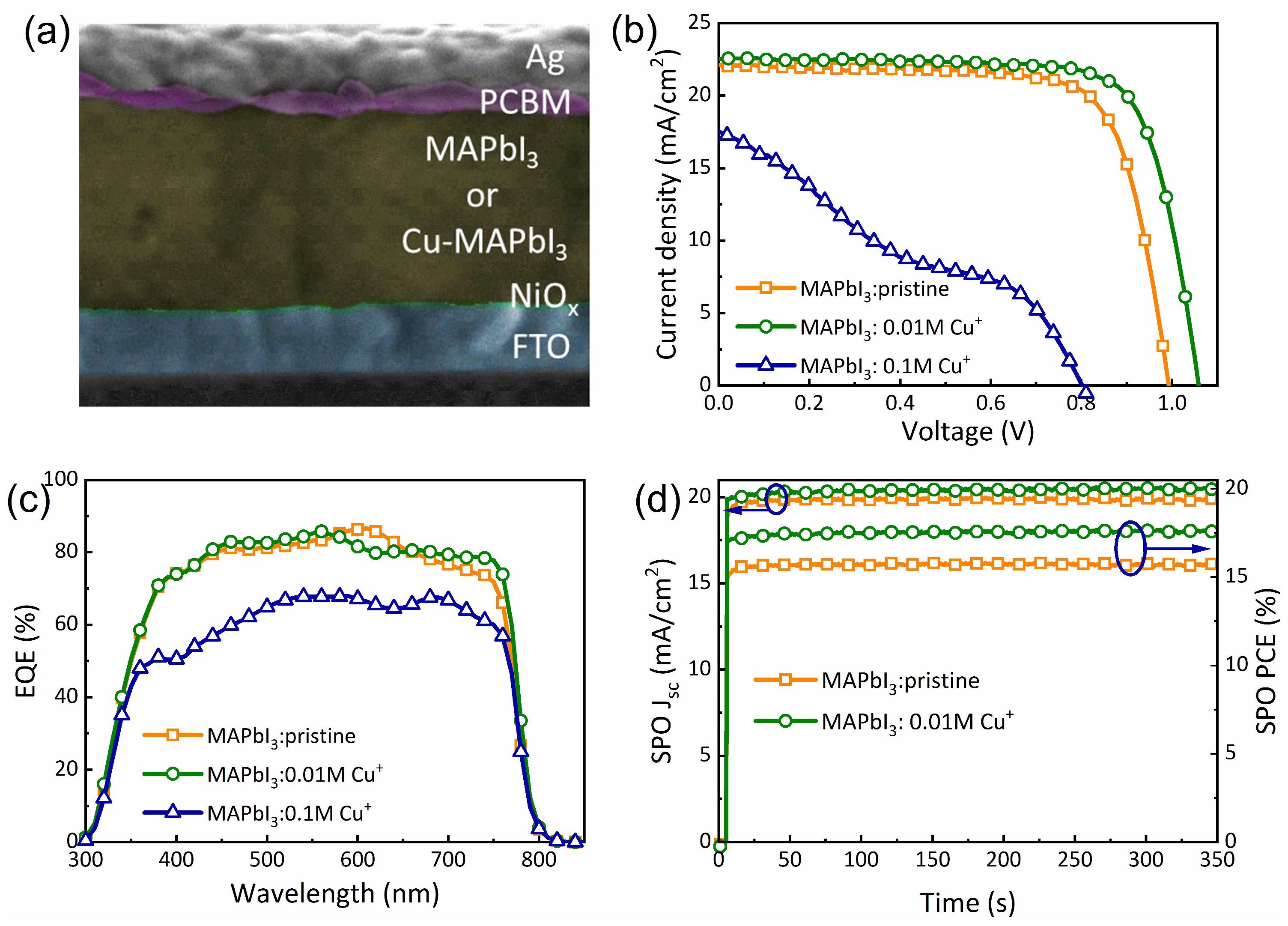 Nanomaterials 14 00172 g006