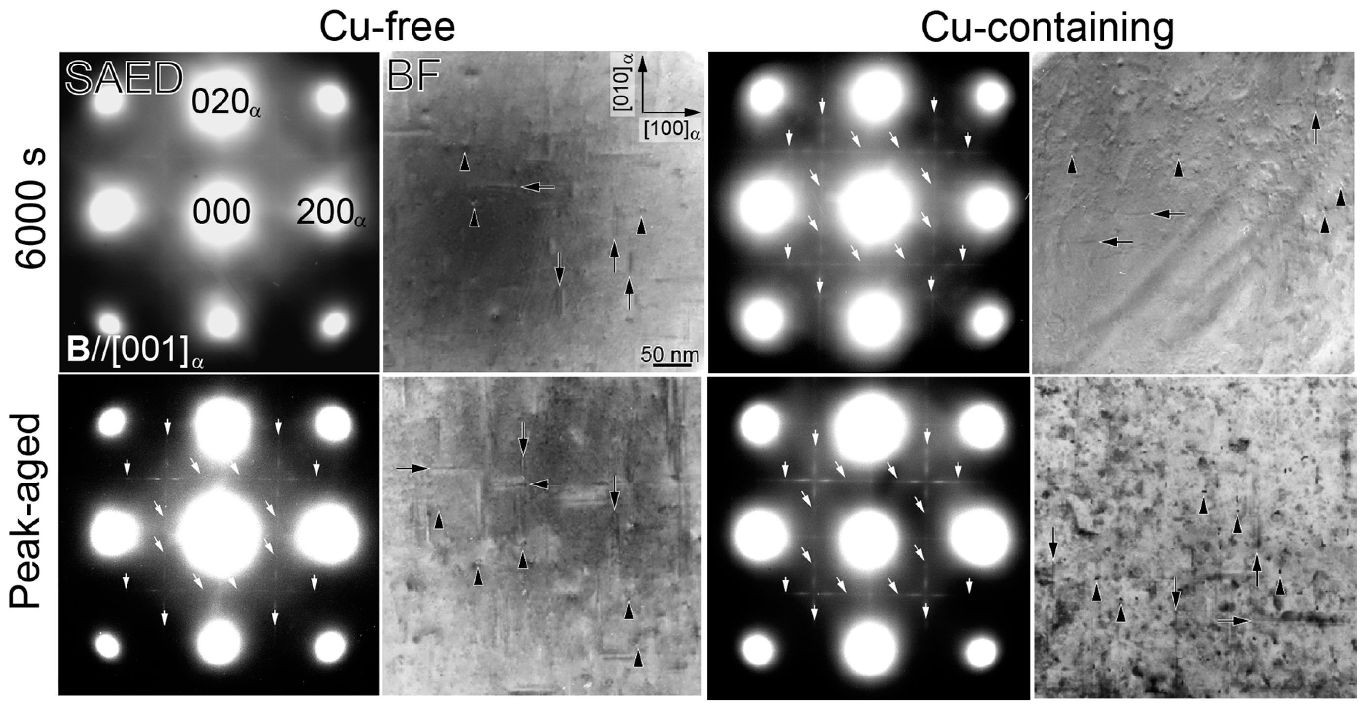 Nanomaterials 14 00176 g003 Nanomaterials 14 00176 g003